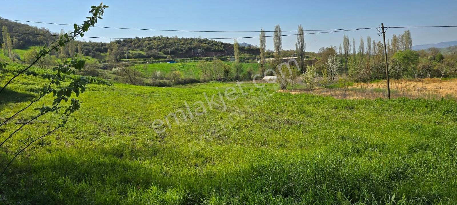 Balıkesir Sındırgı Işıklar'da 9032m² Yatırımlık Tarla - Görsel 2