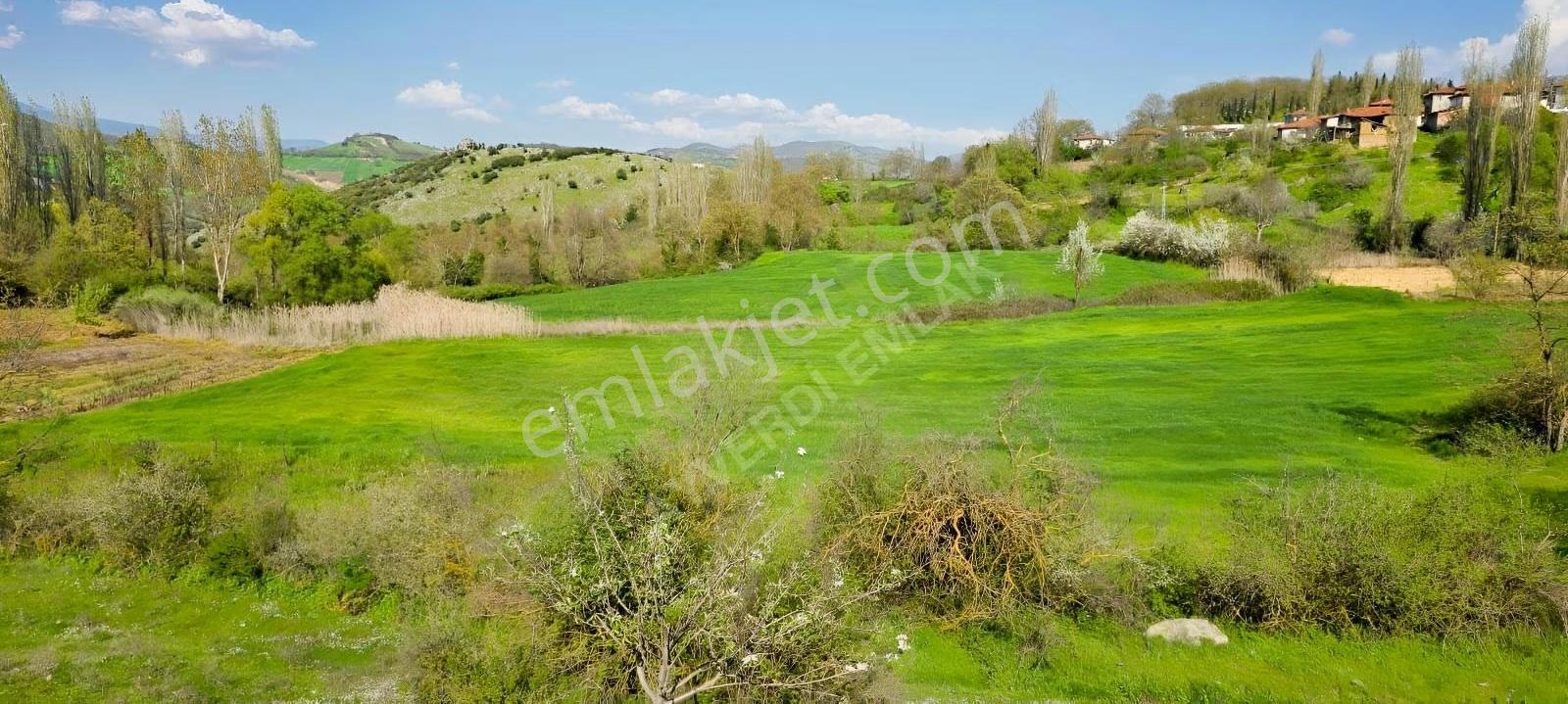 Balıkesir Sındırgı Işıklar'da 9032m² Yatırımlık Tarla - Görsel 4