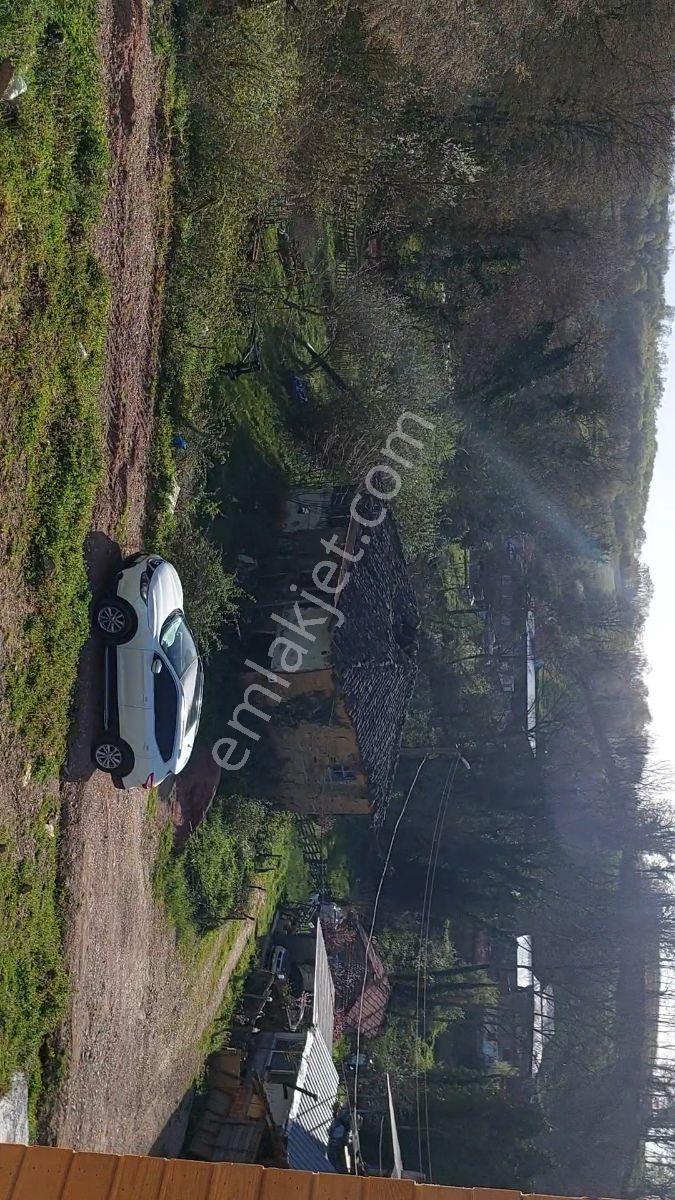 Turızm Bölgesinde Doğa İçi İmarlı Arsa - Görsel 9