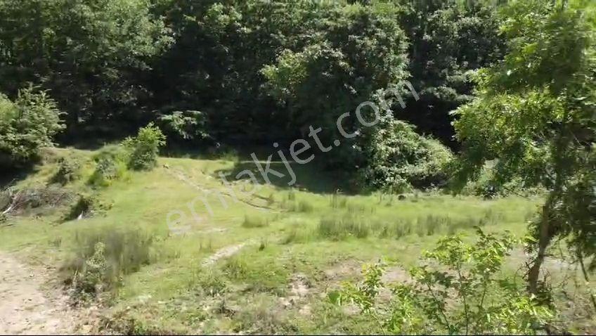 Turızm Bölgesinde Doğa İçi İmarlı Arsa - Görsel 5