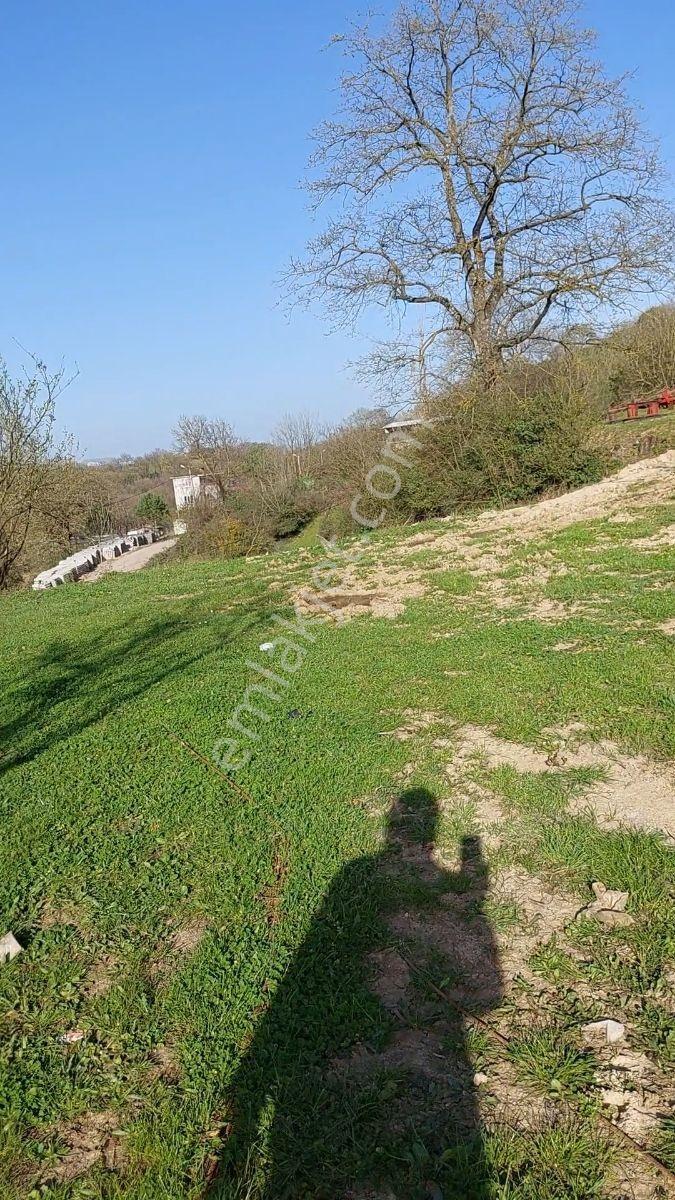 Turızm Bölgesinde Doğa İçi İmarlı Arsa - Görsel 11