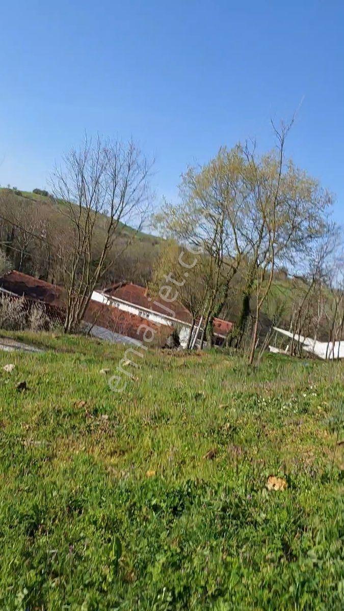 Turızm Bölgesinde Doğa İçi İmarlı Arsa - Görsel 10