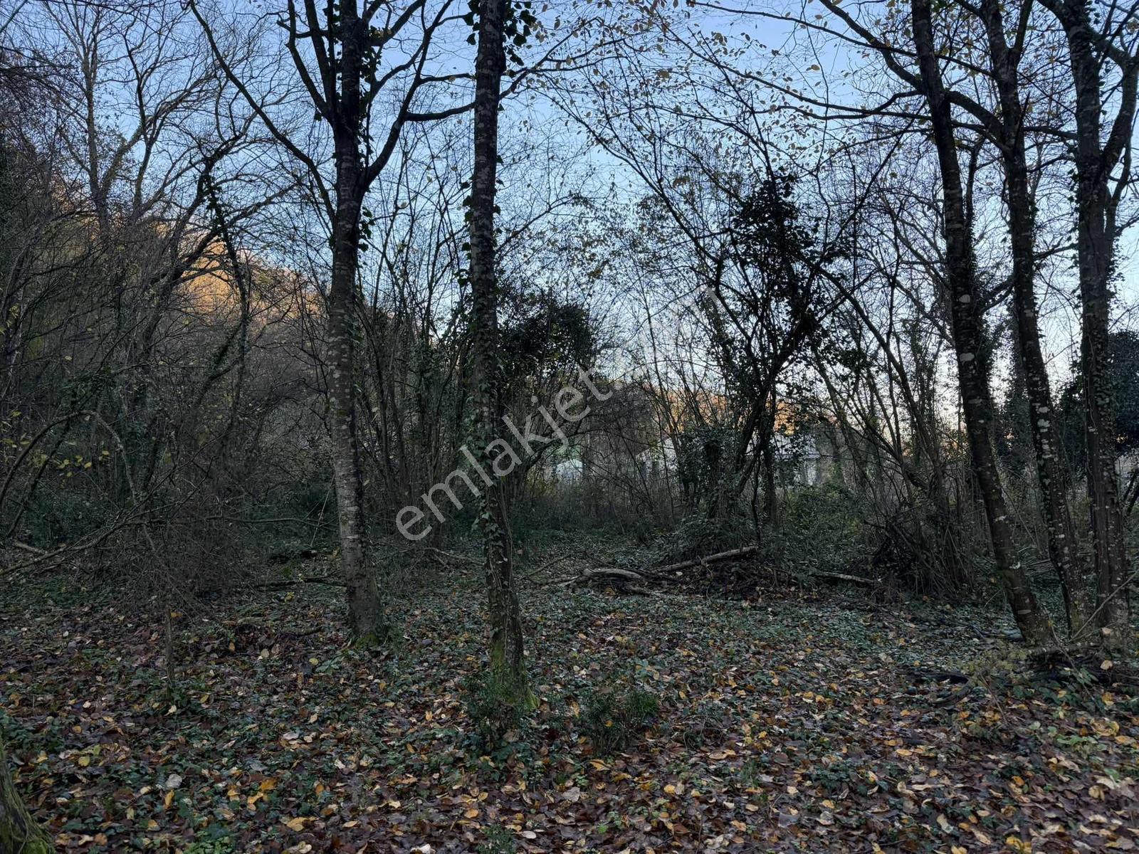 Kabakoz Mahallesinde 445 M2 Tarla - Görsel 5