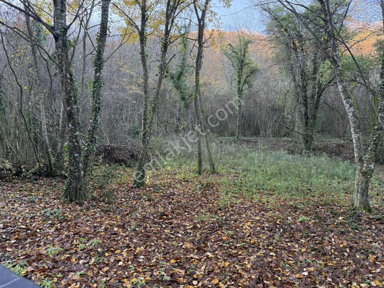 Kabakoz Mahallesinde 445 M2 Tarla - Görsel 2