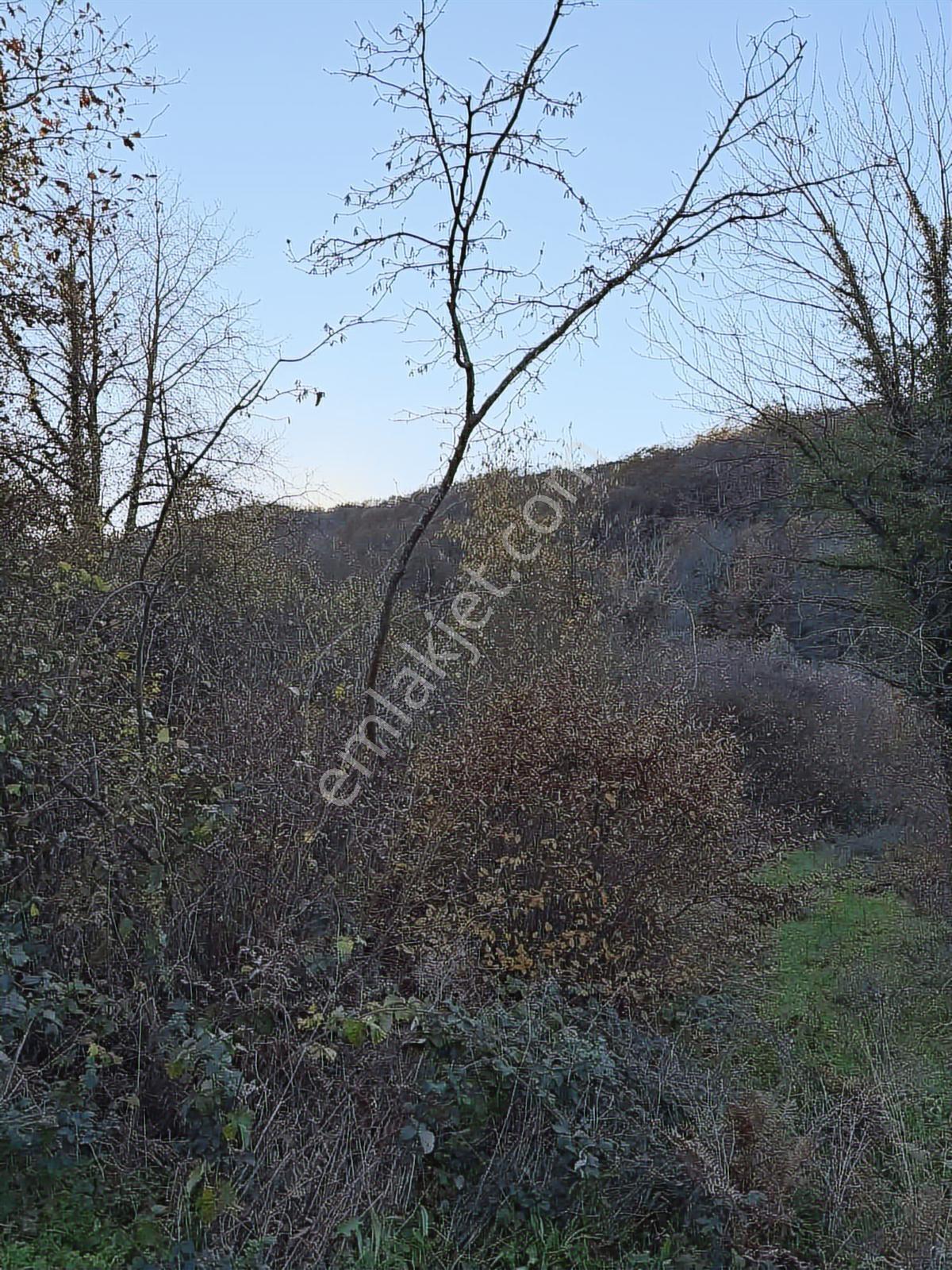 Akçakesede 380 M2 Dereye Cephe Tt4 Turizm Arsası - Görsel 2