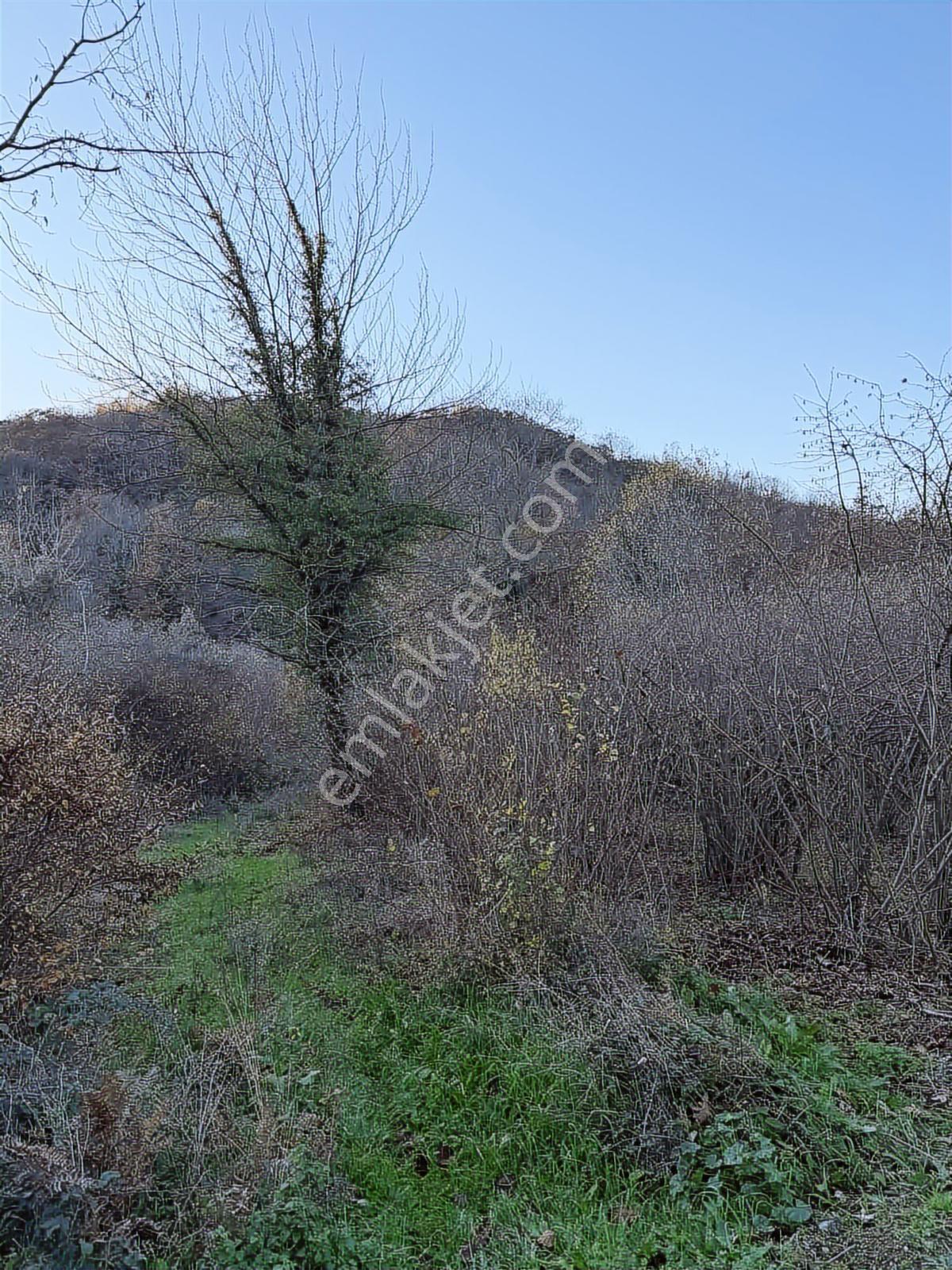 Akçakesede 380 M2 Dereye Cephe Tt4 Turizm Arsası - Görsel 3
