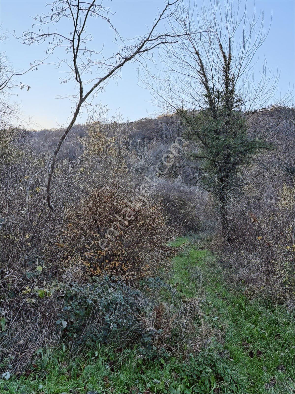Akçakesede 380 M2 Dereye Cephe Tt4 Turizm Arsası - Görsel 4