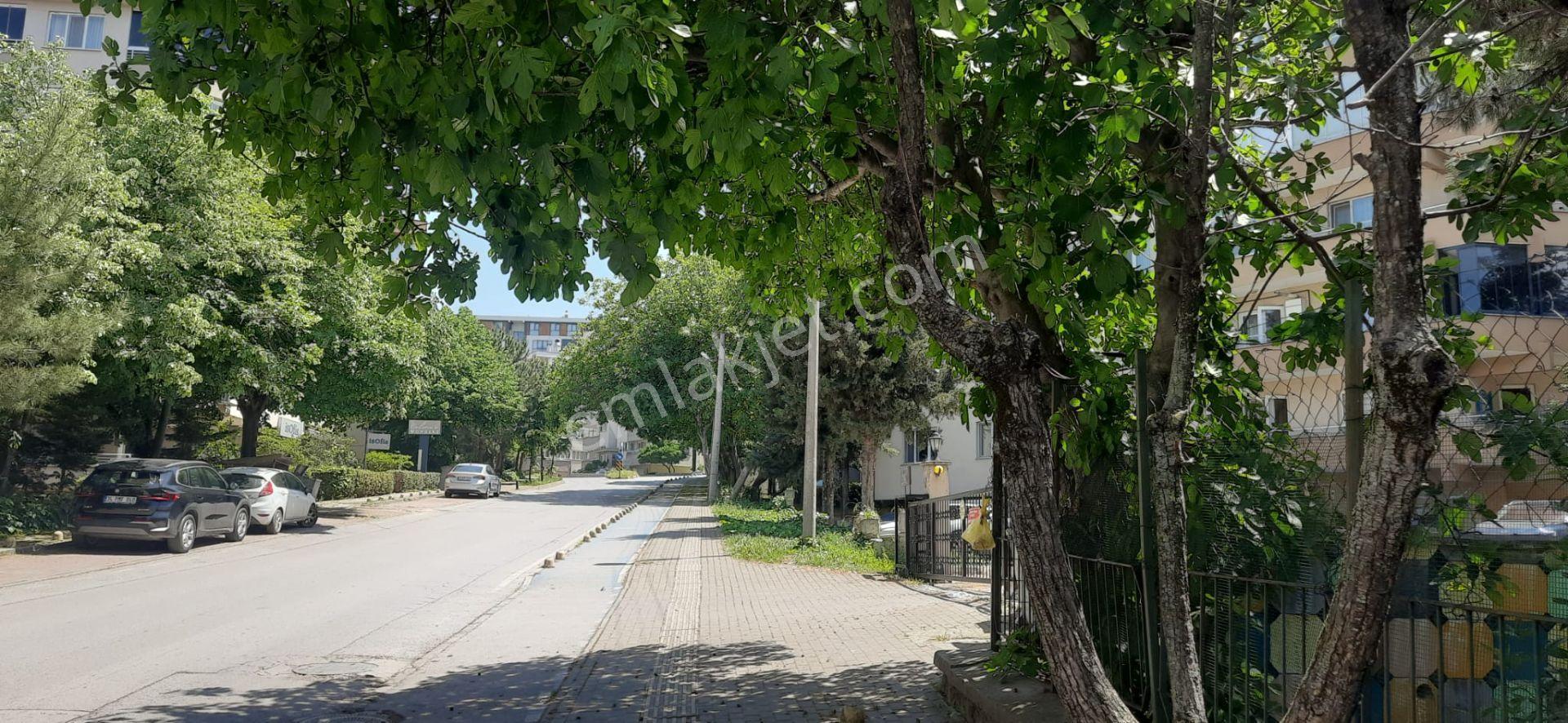 Remax Area’dan Podyumpark’a Komşu, Eşyalı Kiralık Daire - Görsel 4