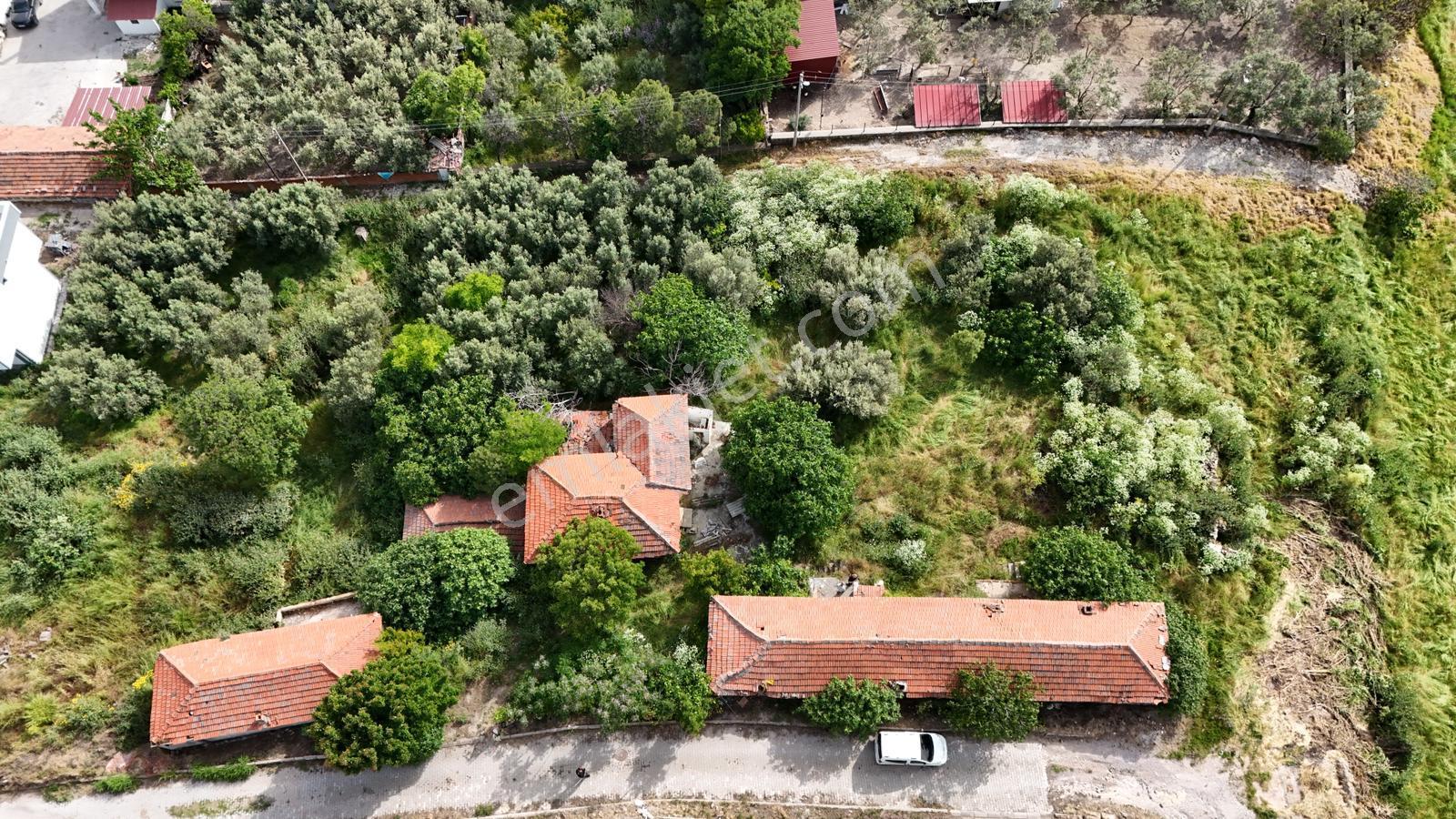 S&s Emlak'dan Dikili Kabakumda Satılık 2375 M2 Villa İmarlı Arsa - Görsel 3
