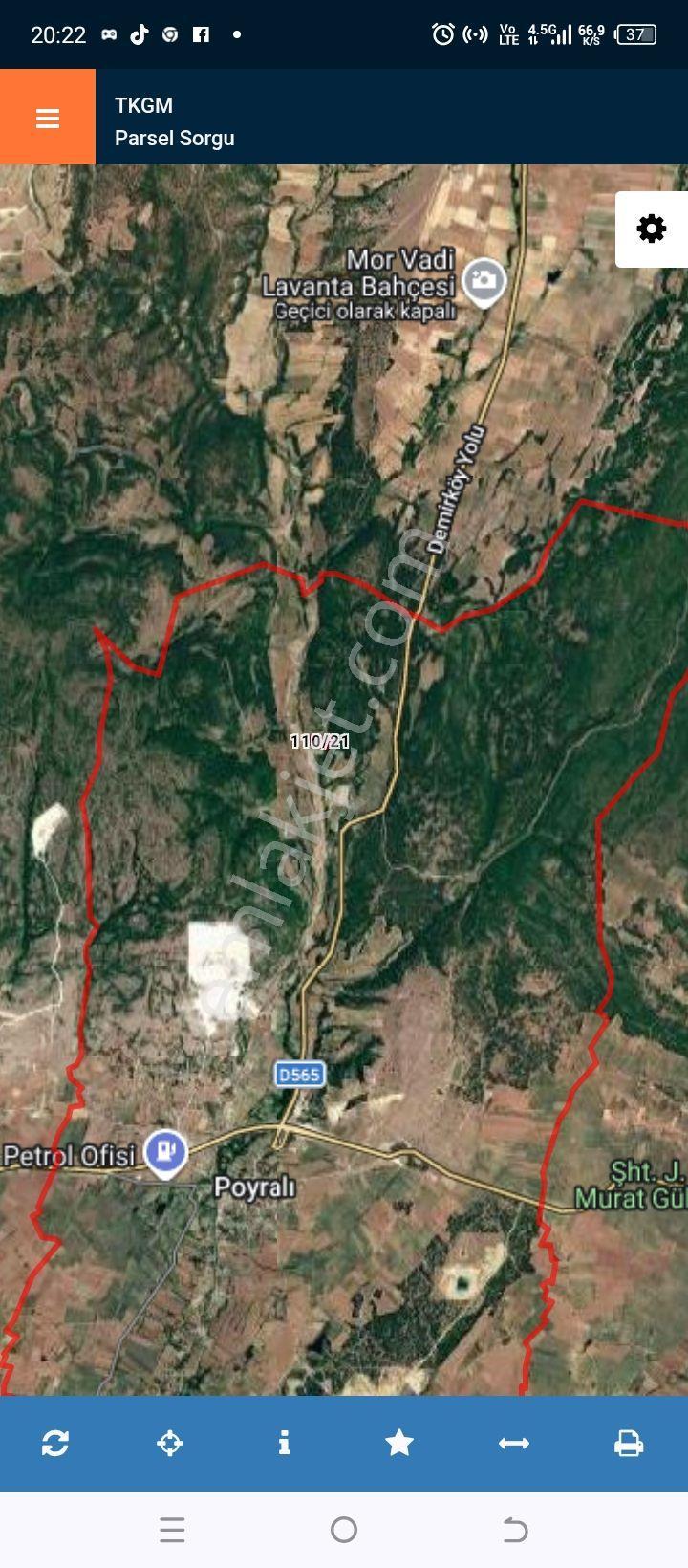 Kırklareli Pınarhisar Poyralı'da 6884m² Kelepir Tarla - Görsel 2