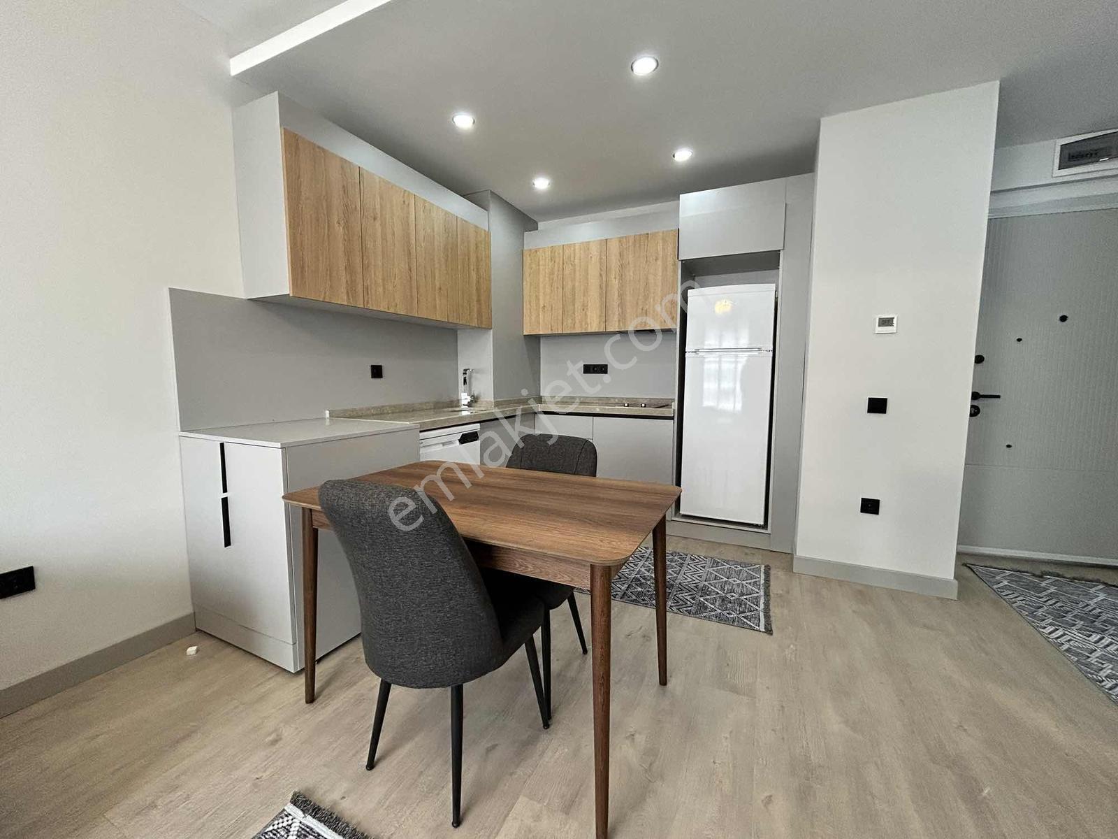 Balıkhisar Mah. Havalimanı Yanında Eşyalı Lux Kiralık 1+1 Daire - Görsel 12