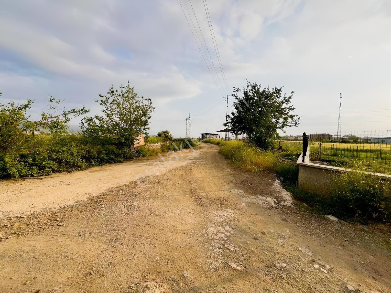 Yenice Haruniye Yol Cepheli Fırsat Arsa!!!kaçırmayın - Görsel 15