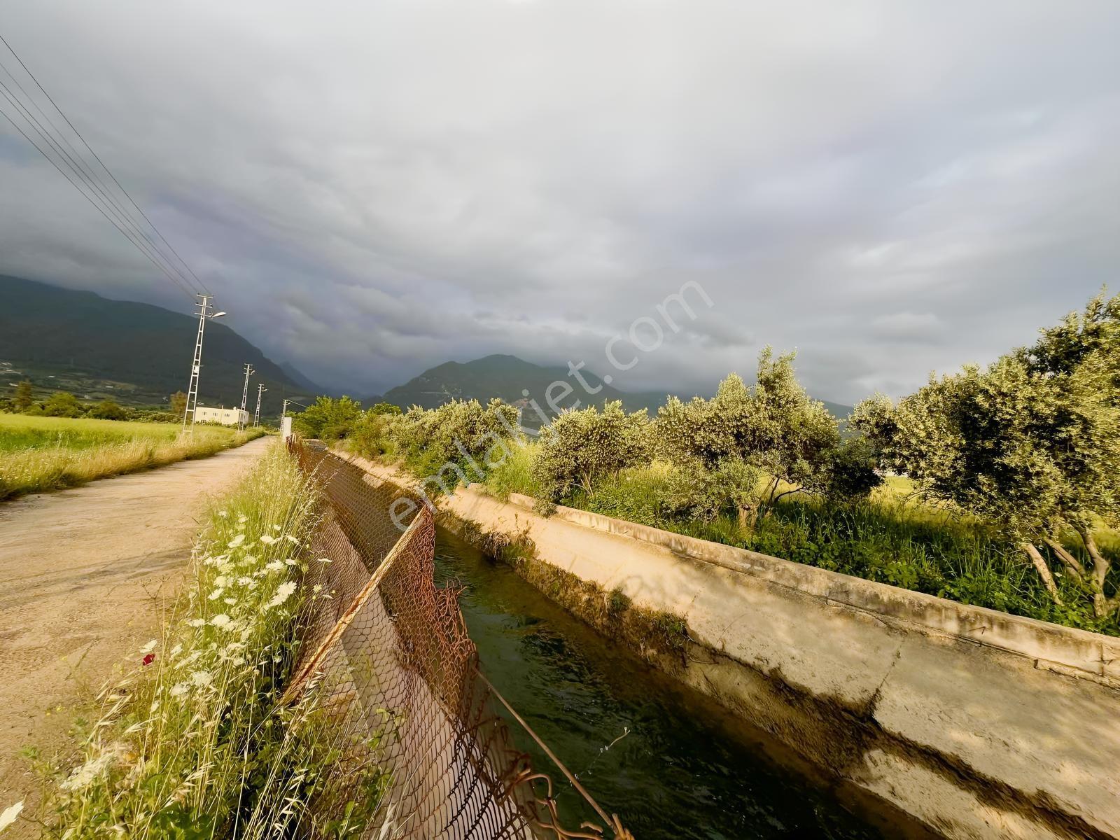 Yenice Haruniye Yol Cepheli Fırsat Arsa!!!kaçırmayın - Görsel 6