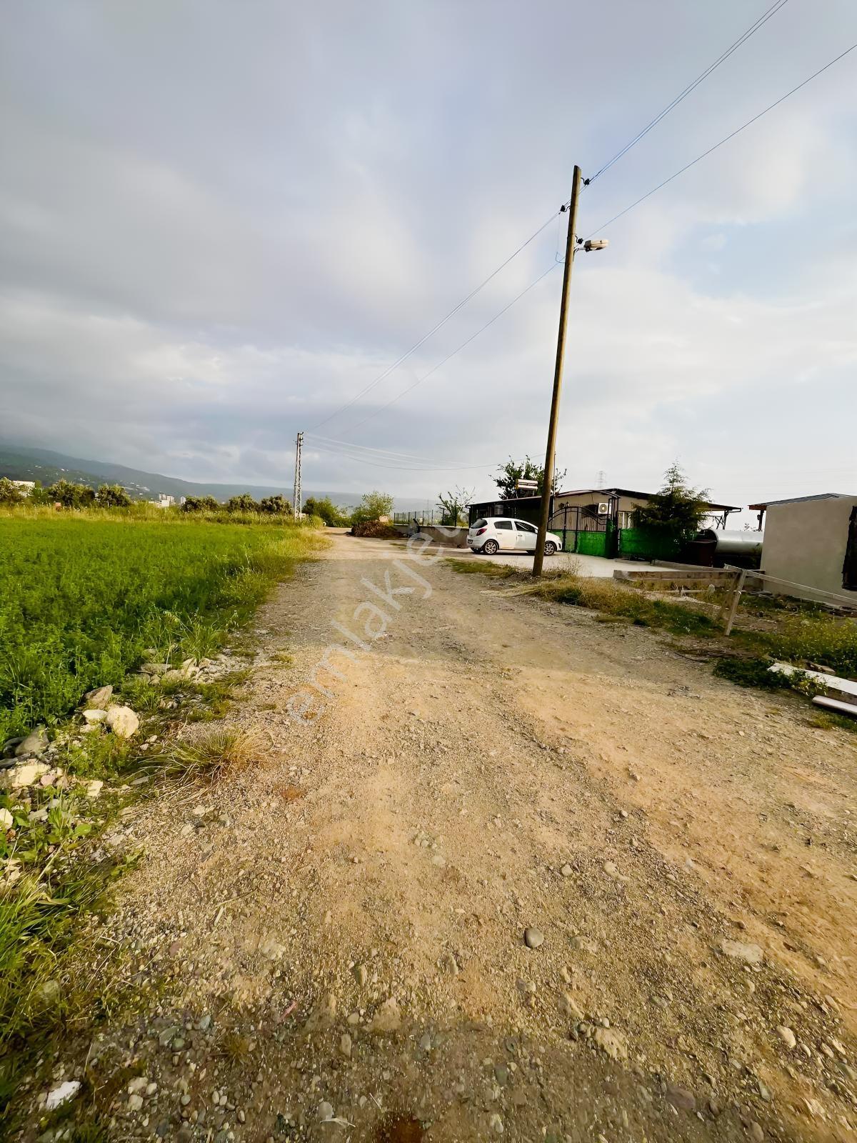 Yenice Haruniye Yol Cepheli Fırsat Arsa!!!kaçırmayın - Görsel 13
