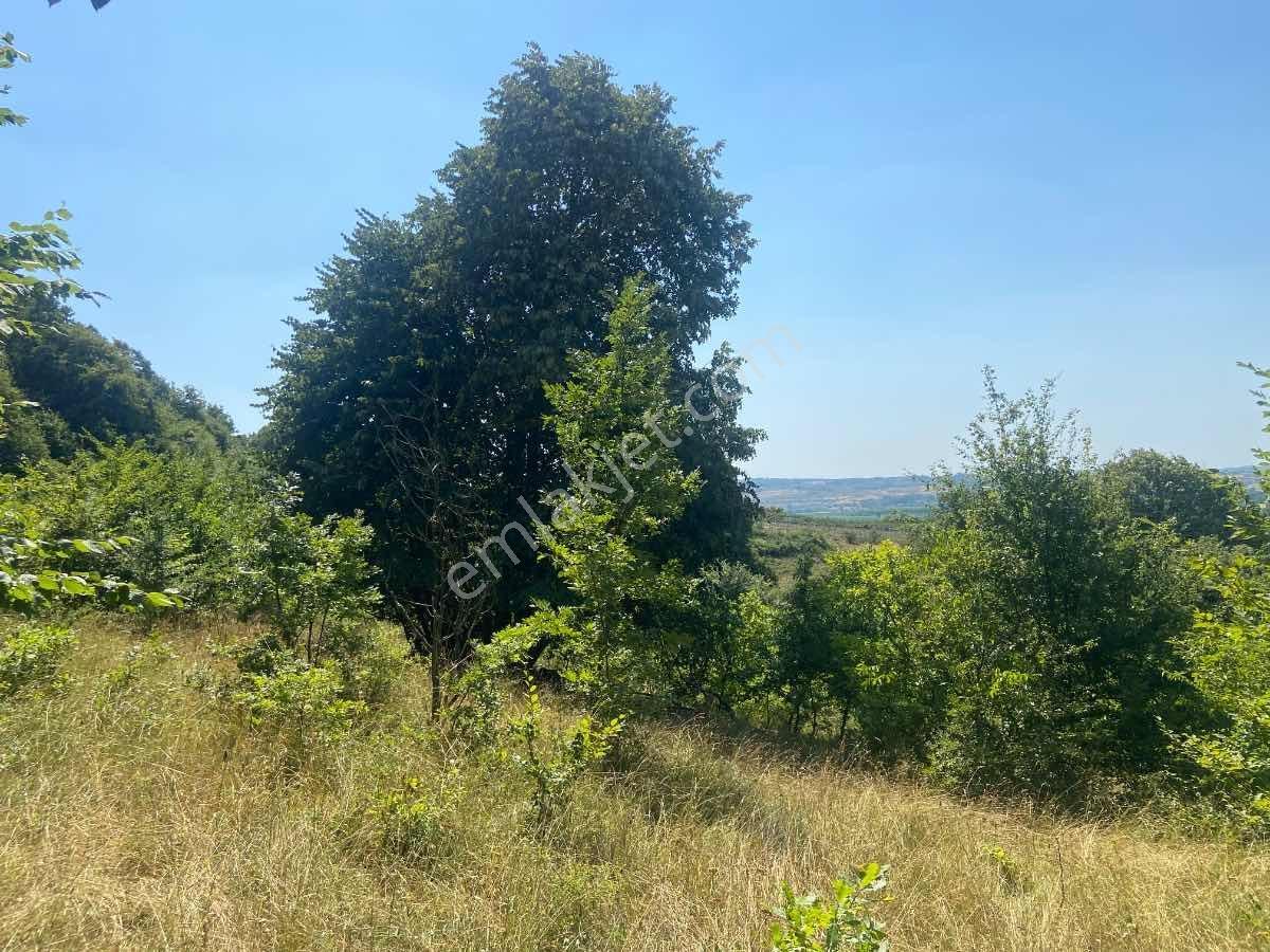 Kısa Süre İçin** İkizcemüslüm'de 1700 M2 Satılık Ceviz Bahçesi - Görsel 22