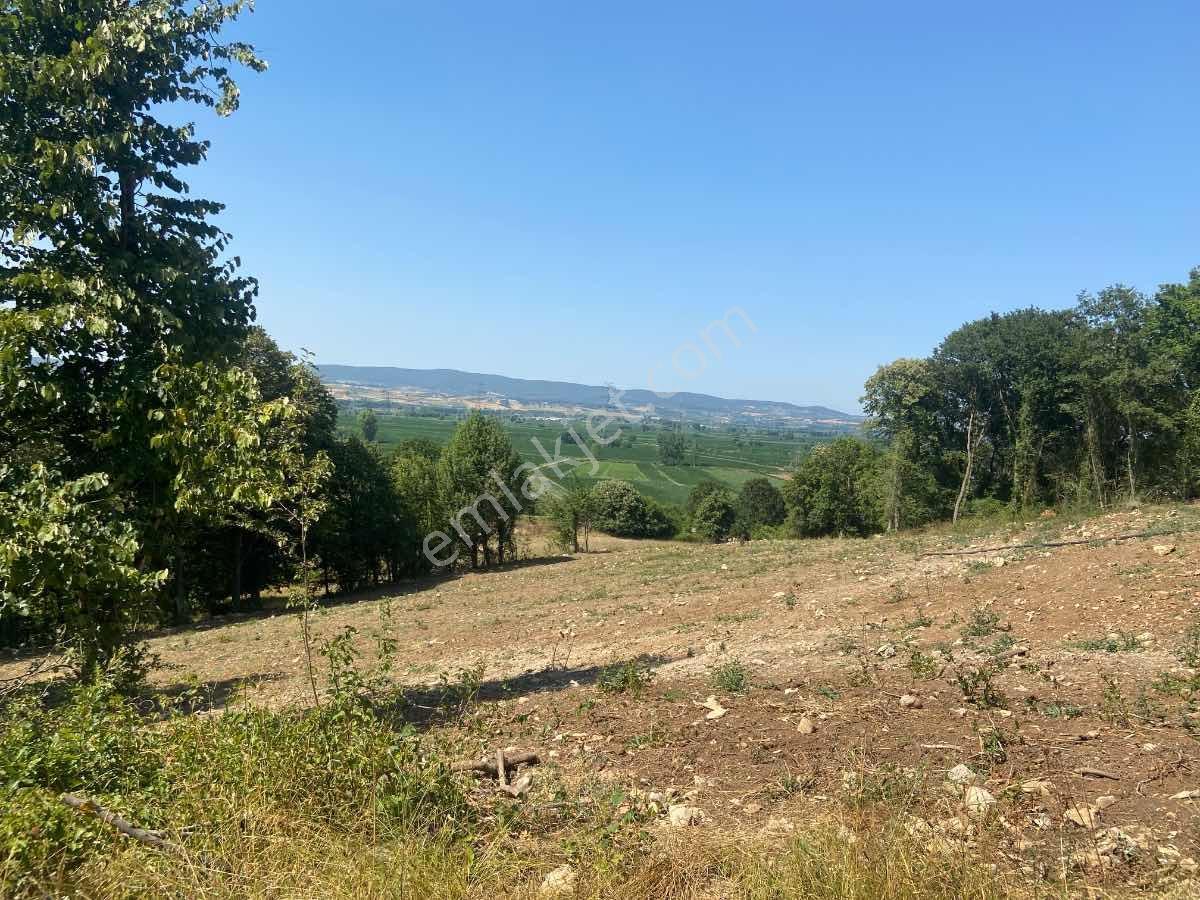 Kısa Süre İçin** İkizcemüslüm'de 1700 M2 Satılık Ceviz Bahçesi - Görsel 2