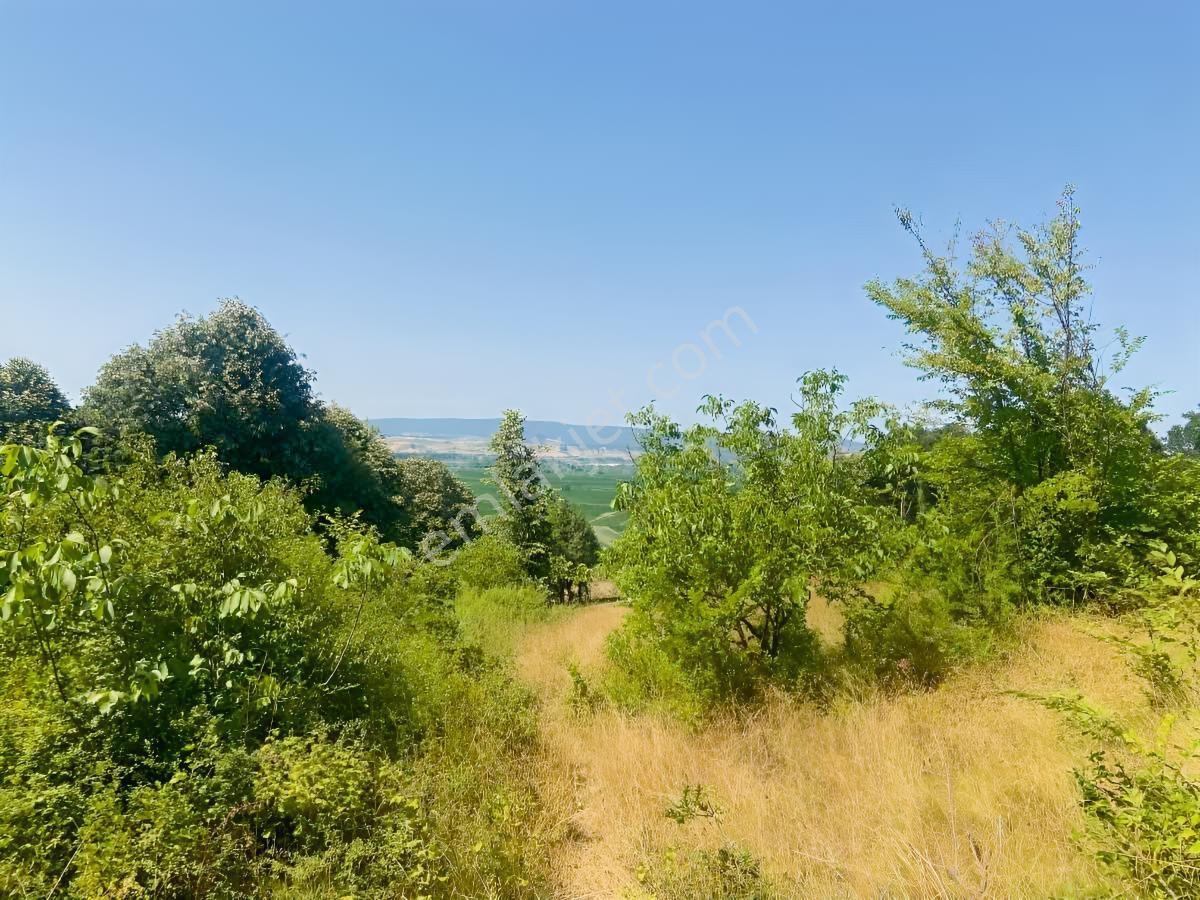 Kısa Süre İçin** İkizcemüslüm'de 1700 M2 Satılık Ceviz Bahçesi - Görsel 25