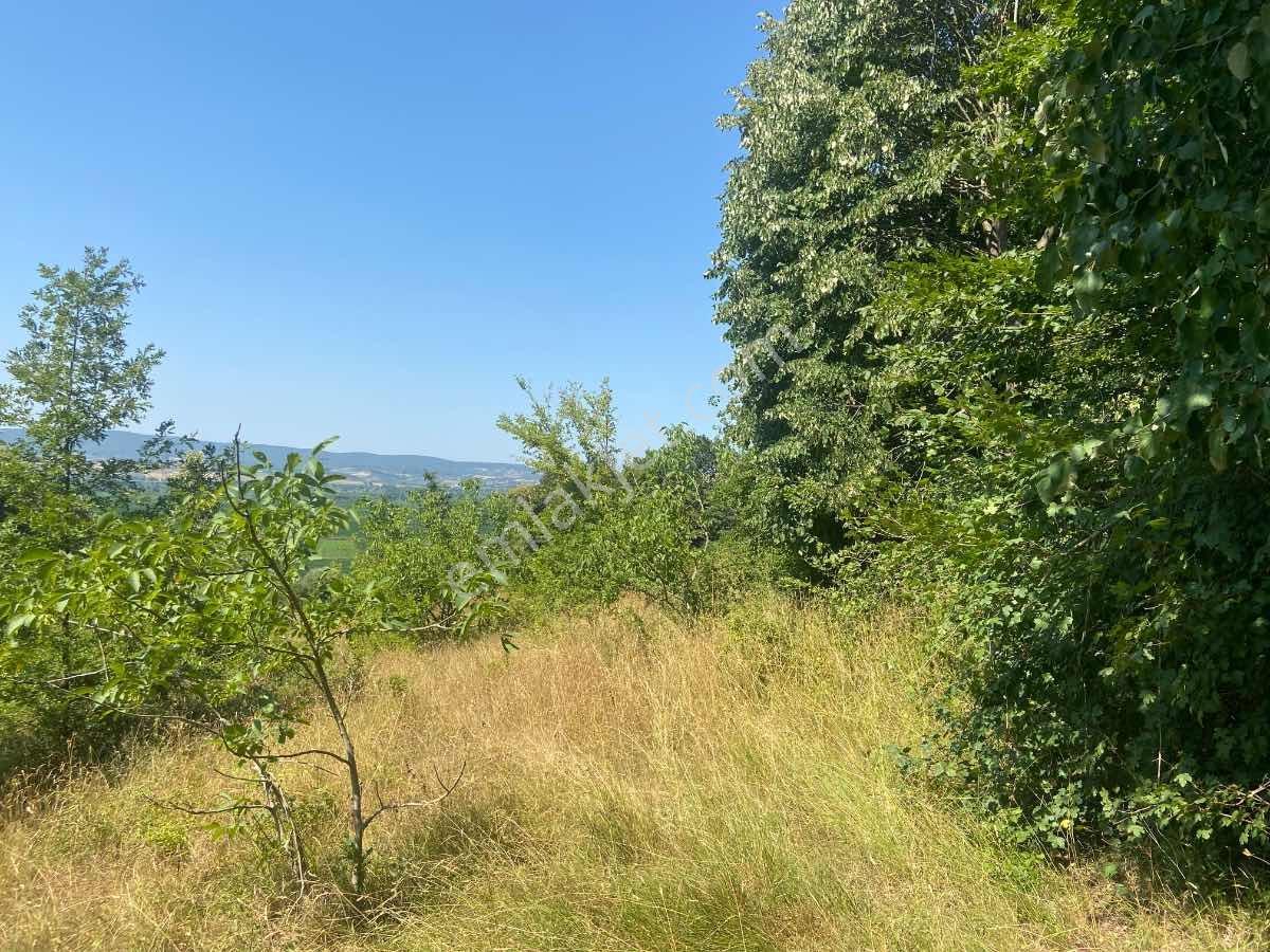 Kısa Süre İçin** İkizcemüslüm'de 1700 M2 Satılık Ceviz Bahçesi - Görsel 9