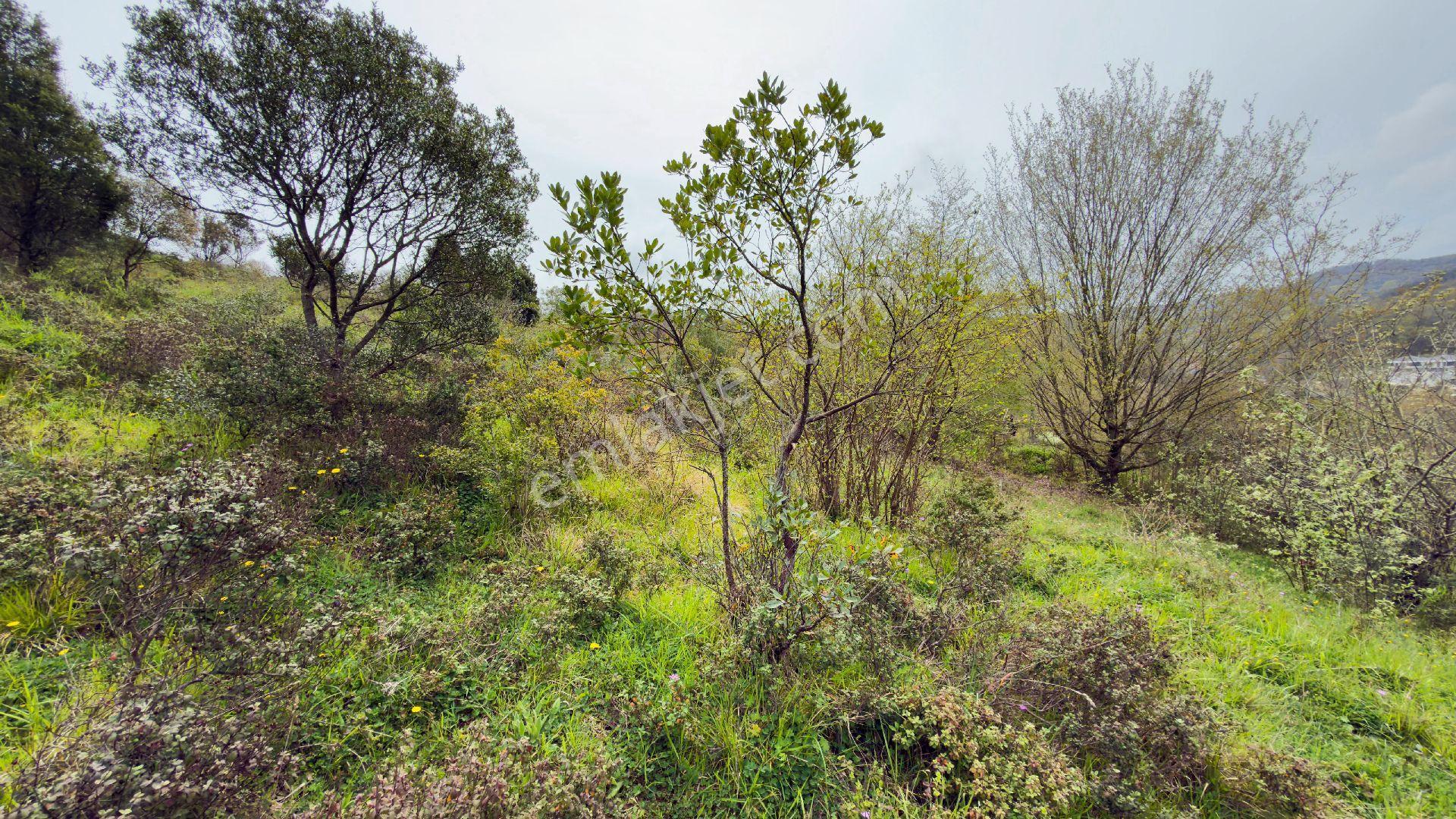 Satılık Şile Bozgacada Turizim İmarlı 868 M2 Arsa - Görsel 4