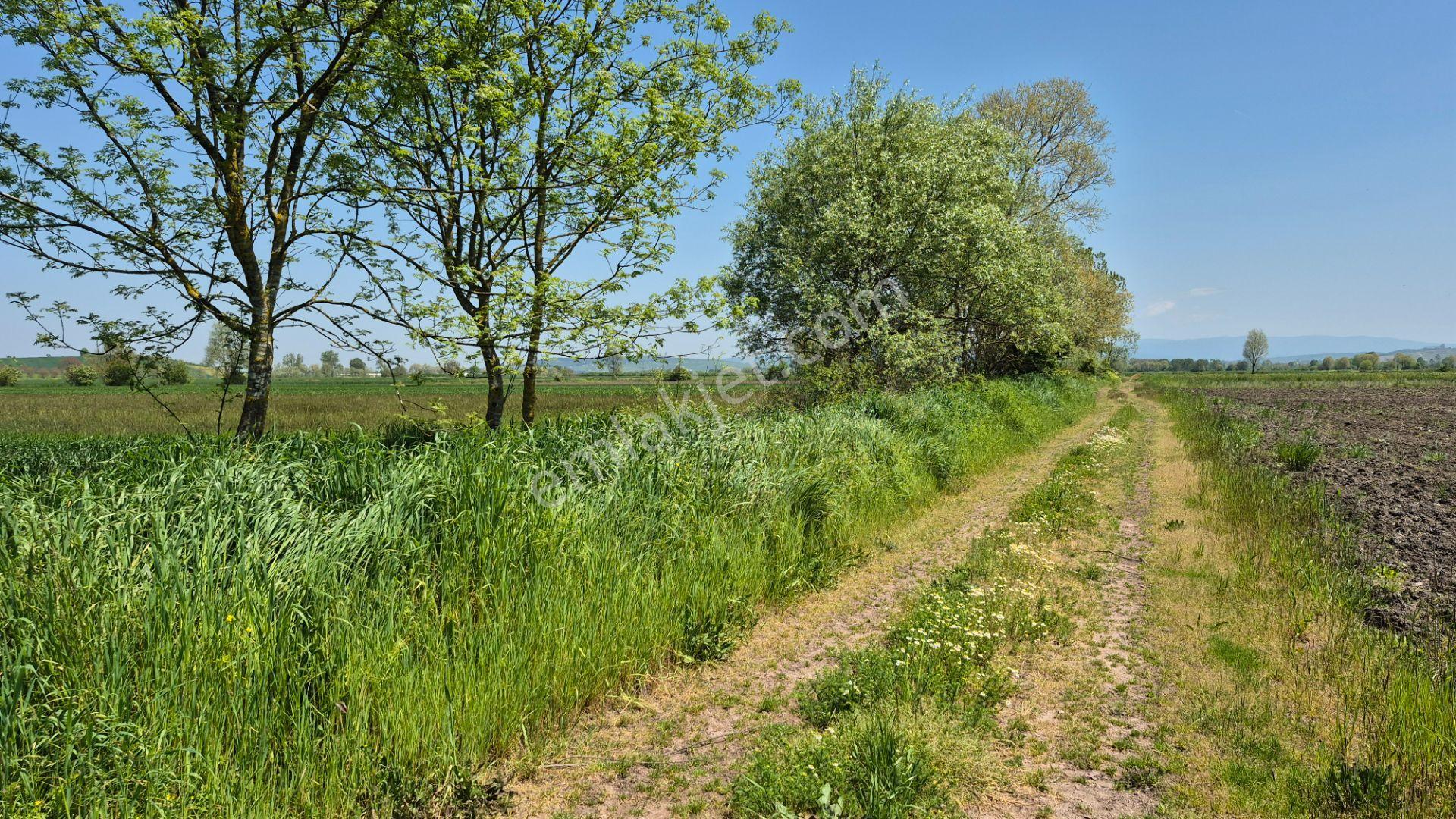 Söğütlü'de Verimli Tarım Arazisi | Ova İçinde | 115 M Yol Cepheli - Görsel 28