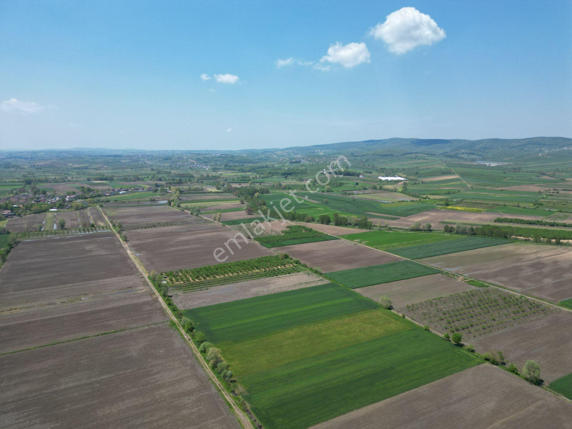 Söğütlü'de Verimli Tarım Arazisi | Ova İçinde | 115 M Yol Cepheli - Görsel 17