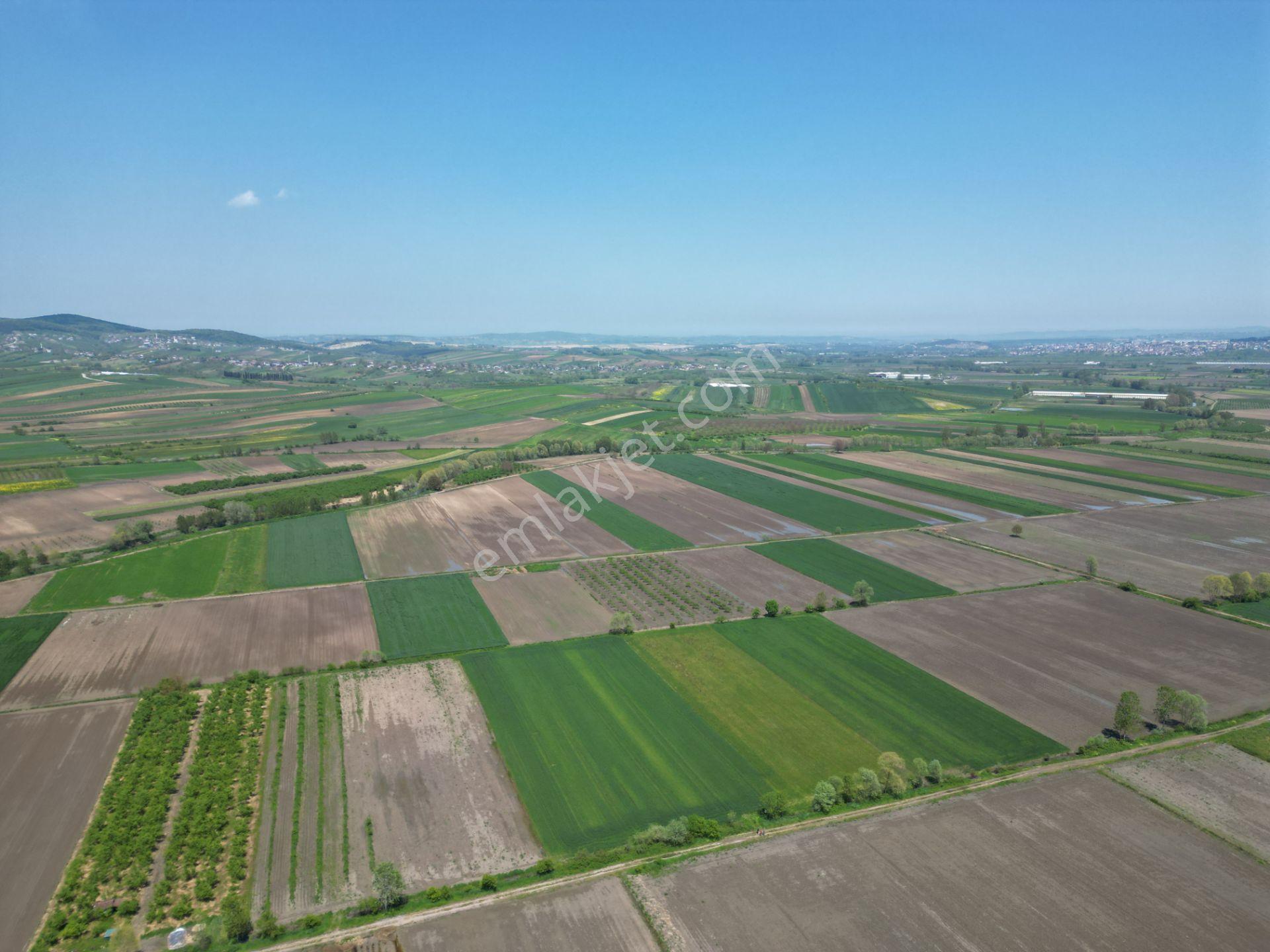 Söğütlü'de Verimli Tarım Arazisi | Ova İçinde | 115 M Yol Cepheli - Görsel 14