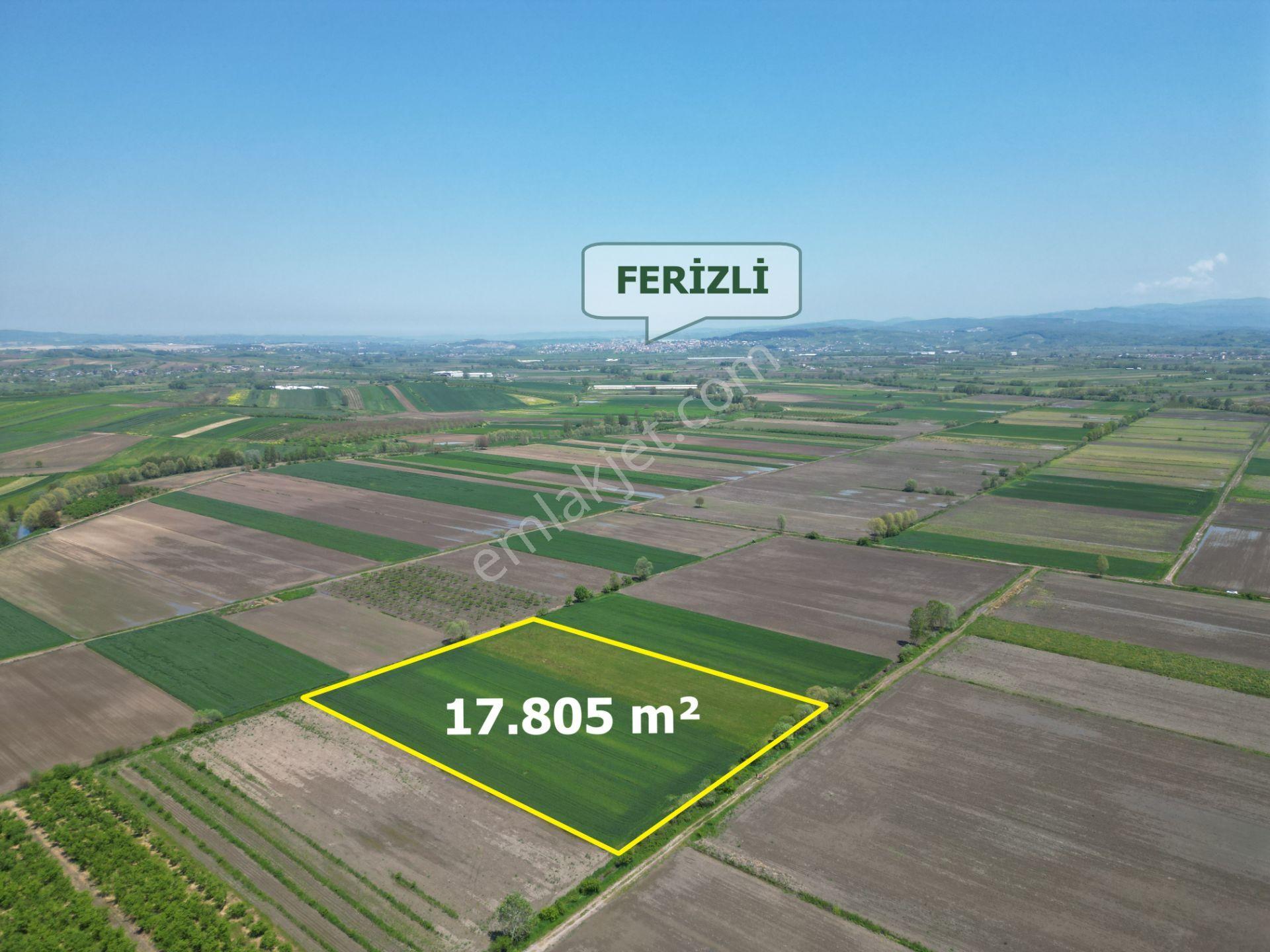 Söğütlü'de Verimli Tarım Arazisi | Ova İçinde | 115 M Yol Cepheli - Görsel 13