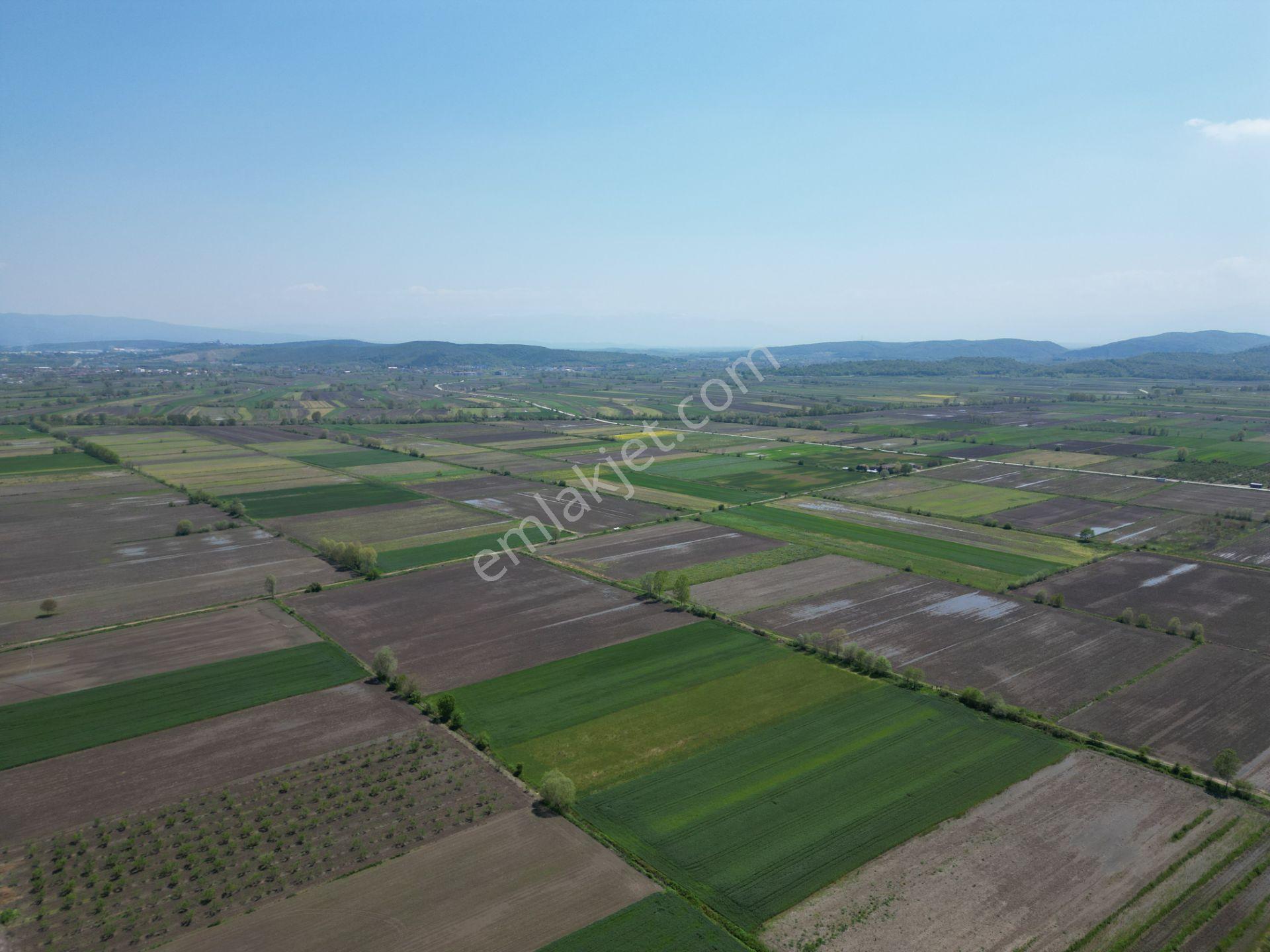 Söğütlü'de Verimli Tarım Arazisi | Ova İçinde | 115 M Yol Cepheli - Görsel 21