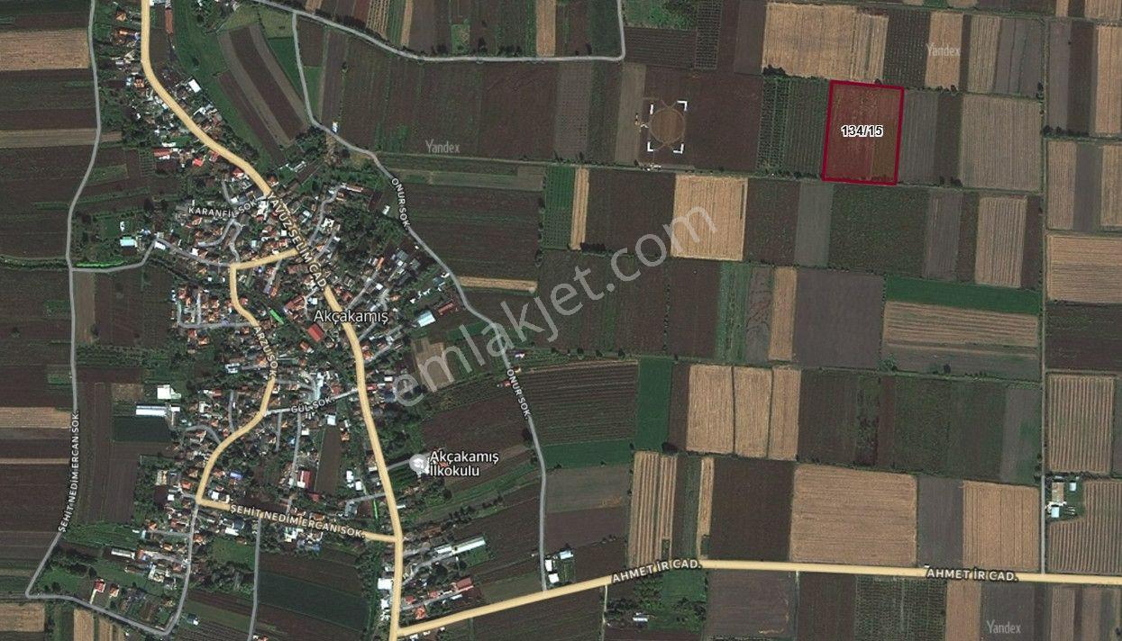 Söğütlü'de Verimli Tarım Arazisi | Ova İçinde | 115 M Yol Cepheli - Görsel 31