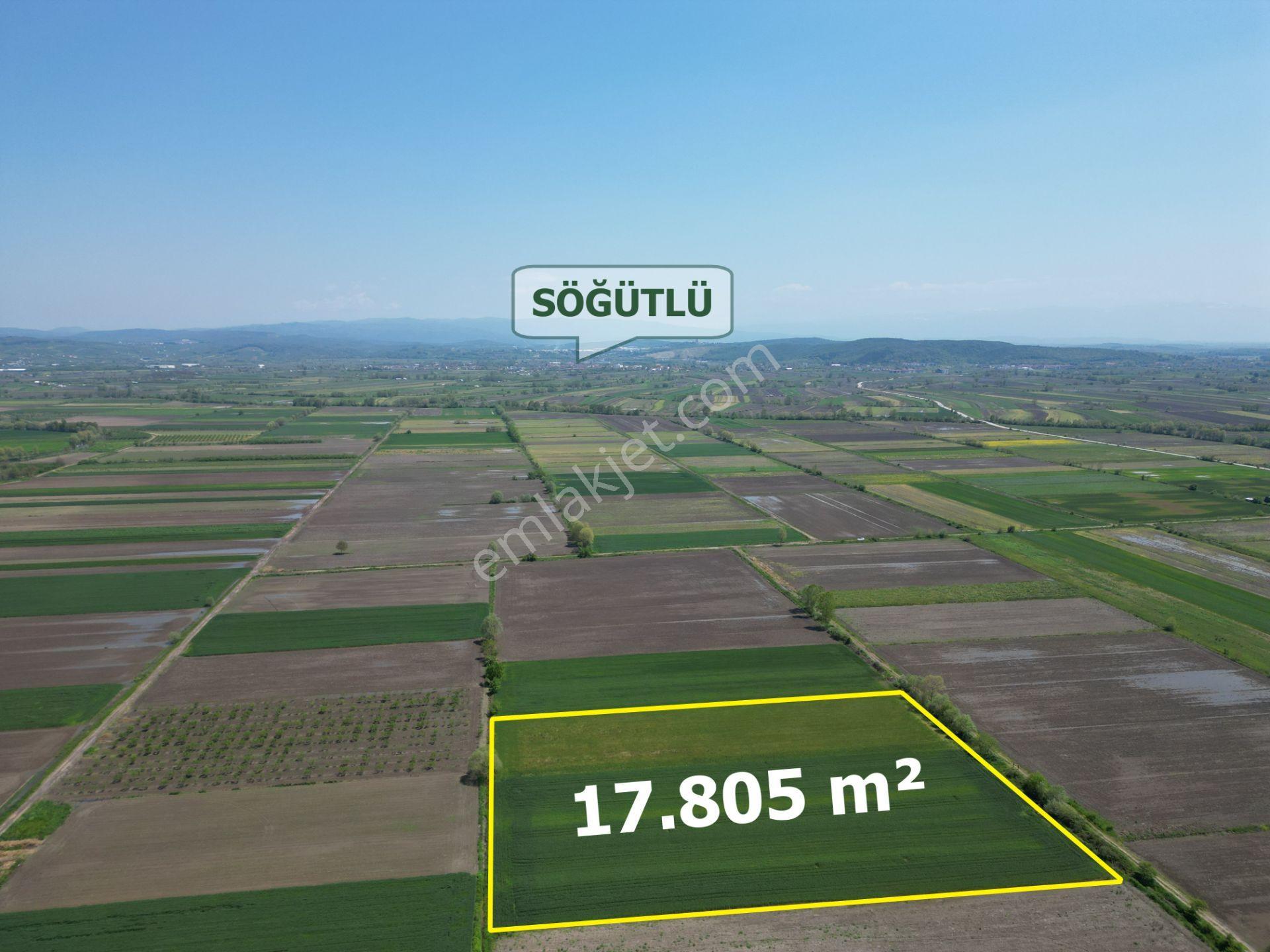 Söğütlü'de Verimli Tarım Arazisi | Ova İçinde | 115 M Yol Cepheli - Görsel 22