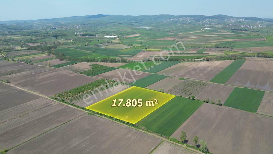 Söğütlü'de Verimli Tarım Arazisi | Ova İçinde | 115 M Yol Cepheli - Görsel 4