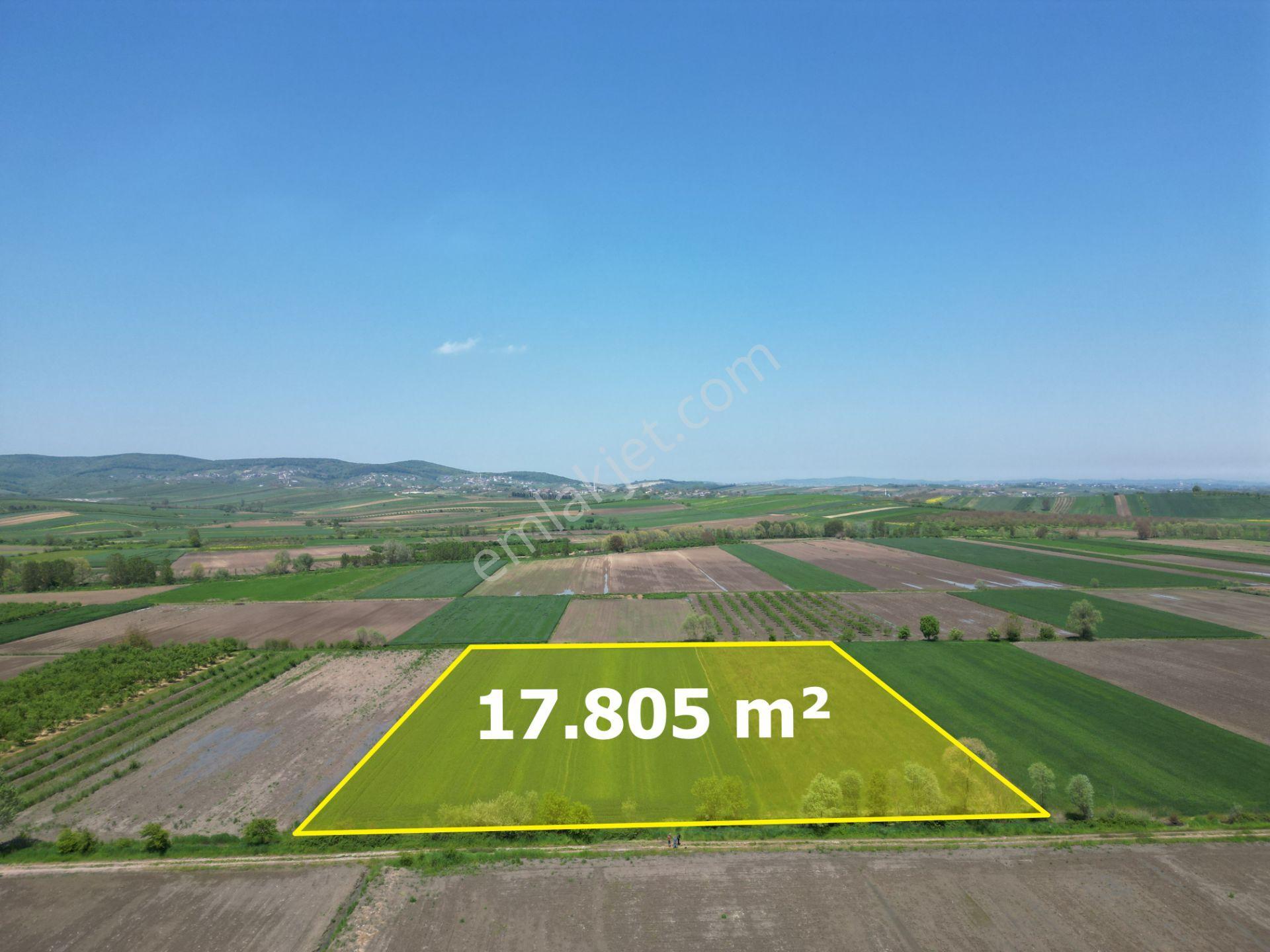 Söğütlü'de Verimli Tarım Arazisi | Ova İçinde | 115 M Yol Cepheli