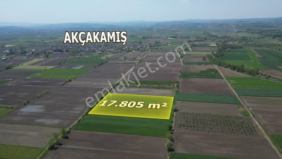Söğütlü'de Verimli Tarım Arazisi | Ova İçinde | 115 M Yol Cepheli - Görsel 2