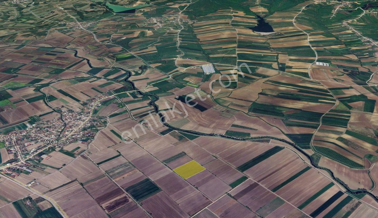 Söğütlü'de Verimli Tarım Arazisi | Ova İçinde | 115 M Yol Cepheli - Görsel 35