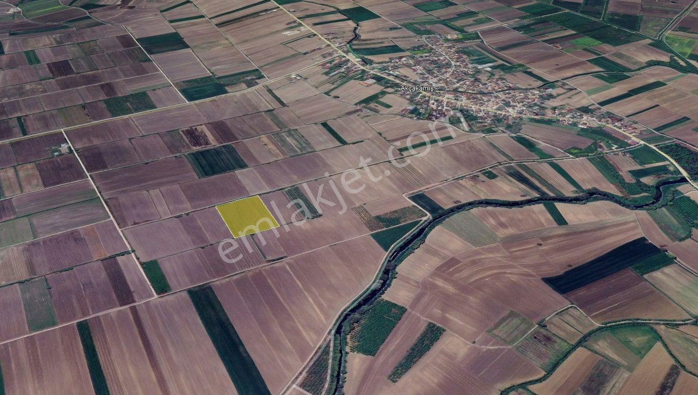 Söğütlü'de Verimli Tarım Arazisi | Ova İçinde | 115 M Yol Cepheli - Görsel 34