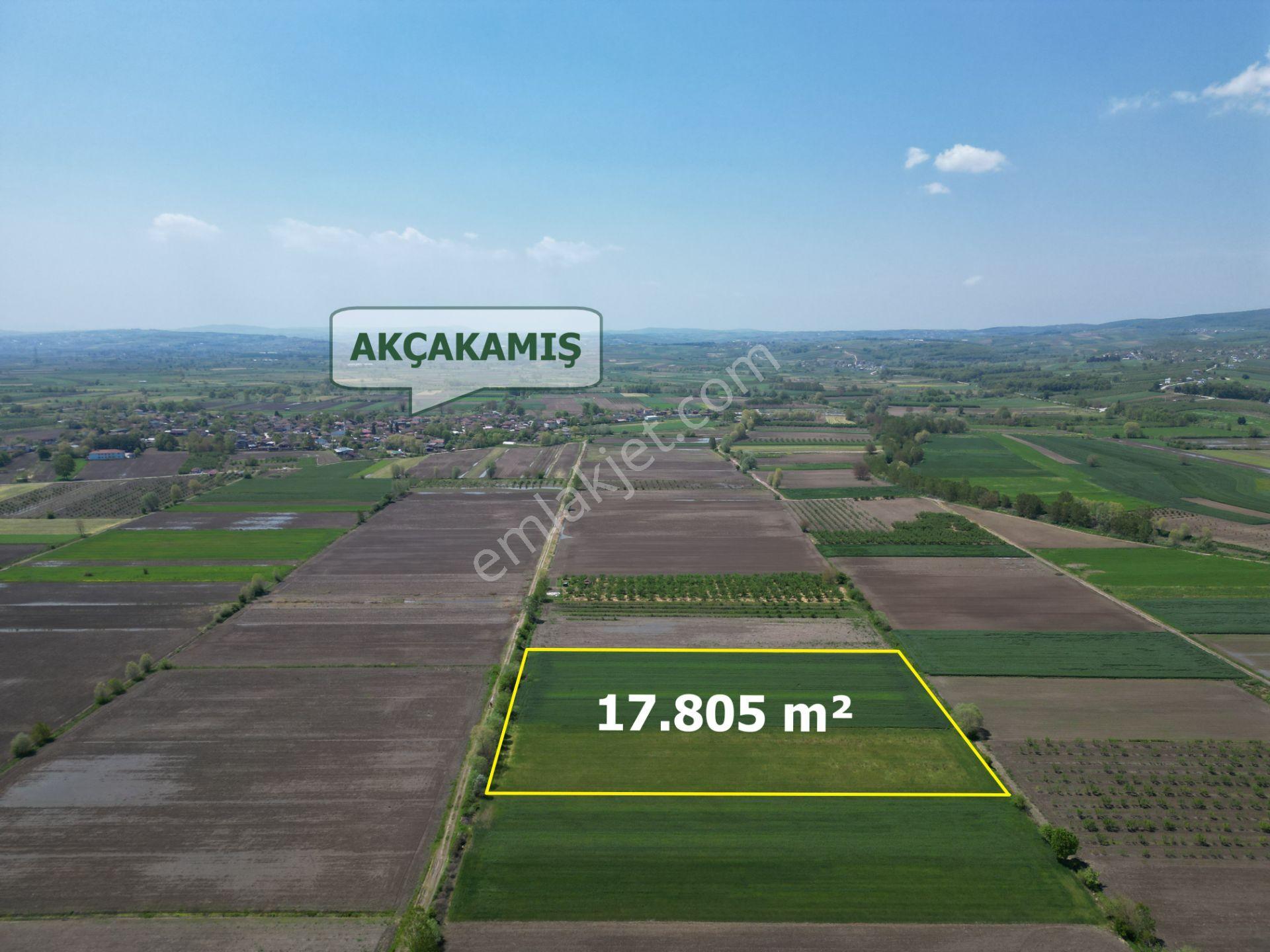 Söğütlü'de Verimli Tarım Arazisi | Ova İçinde | 115 M Yol Cepheli - Görsel 18