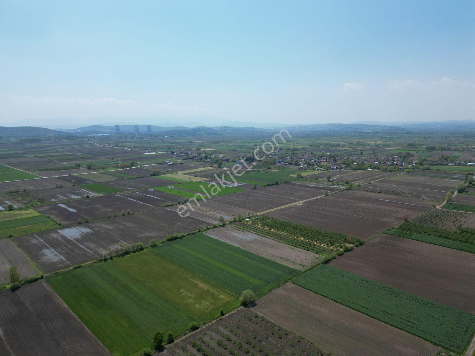 Söğütlü'de Verimli Tarım Arazisi | Ova İçinde | 115 M Yol Cepheli - Görsel 19