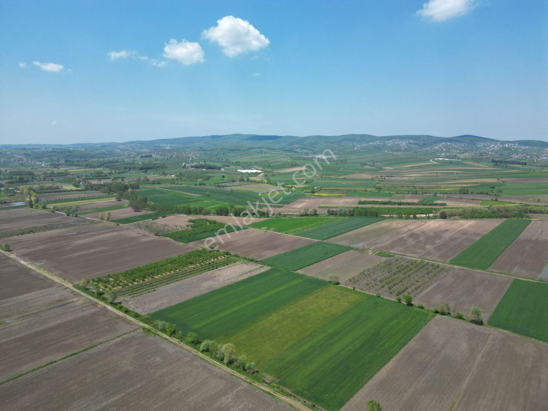 Söğütlü'de Verimli Tarım Arazisi | Ova İçinde | 115 M Yol Cepheli - Görsel 16