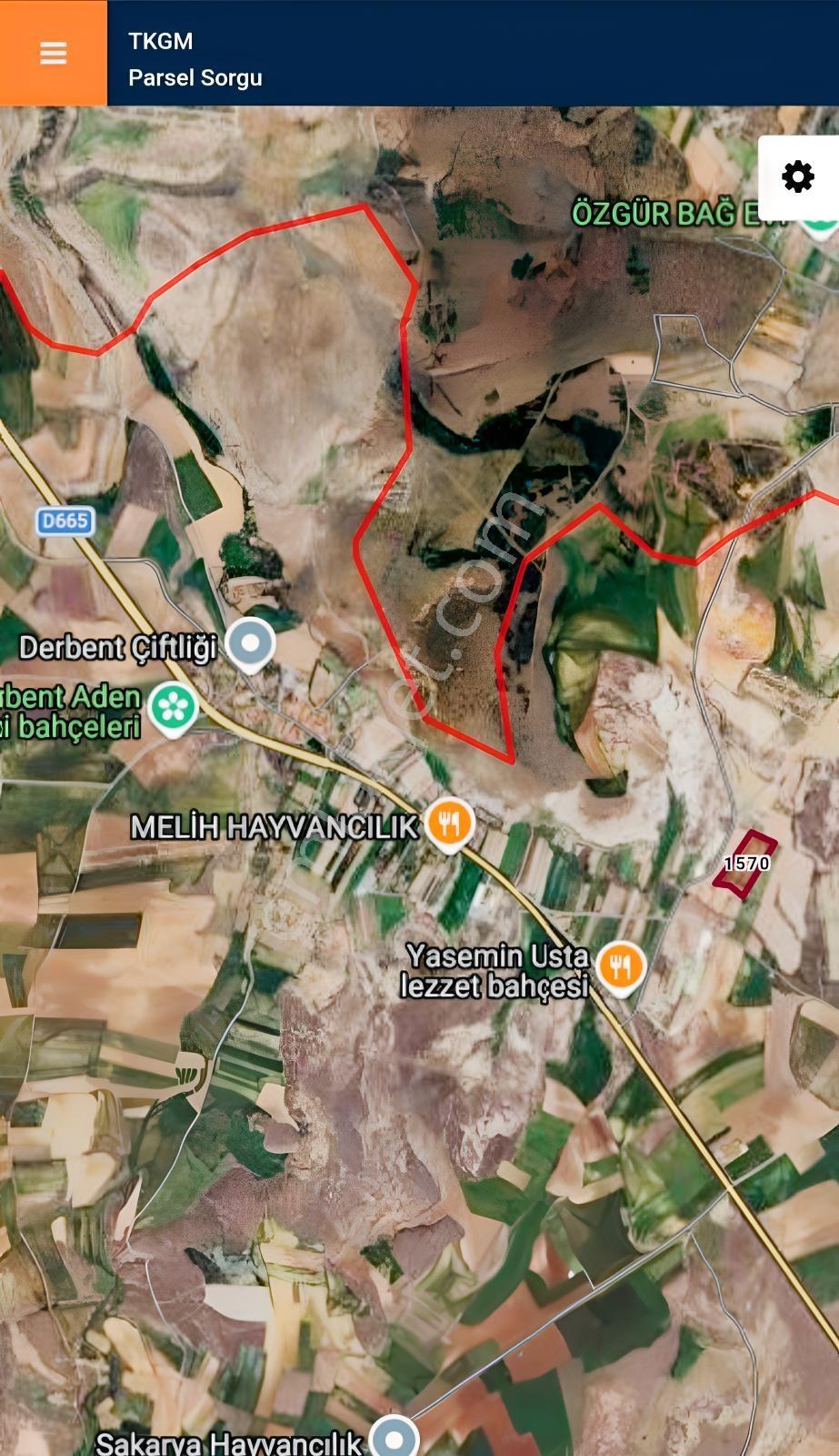 Derbent'te Satılık Fırsat Tarla - Merkeze 15 Km - 19.000 M2 - Görsel 4