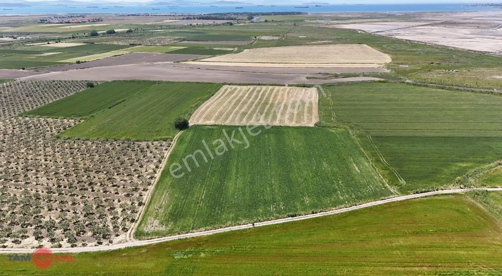Çandarlı'da Limana Komşu Dev Metrajlı Yatırım Fırsatı - Görsel 2