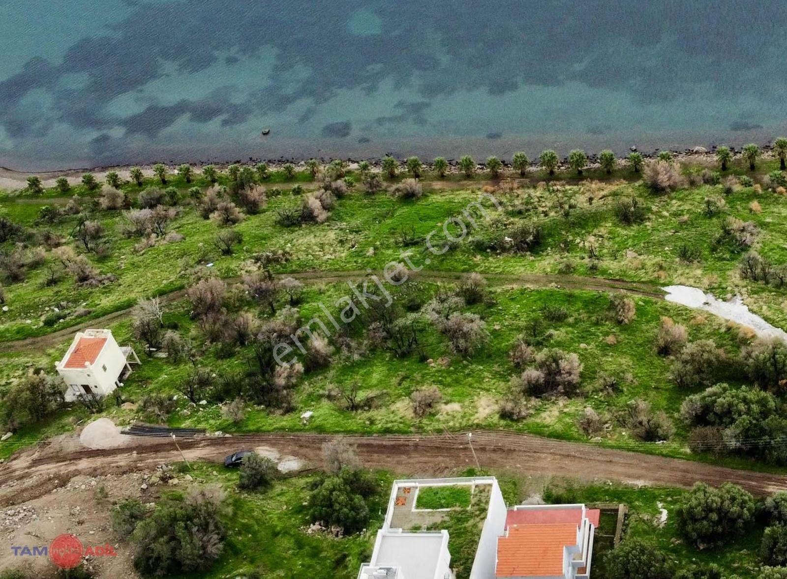 Çandarlı Bimeyko Denize 90 Metre 700m2 Hisseli Arsa - Görsel 10