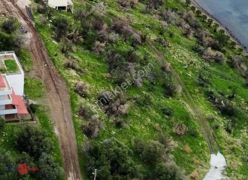 Çandarlı Bimeyko Denize 90 Metre 700m2 Hisseli Arsa - Görsel 7