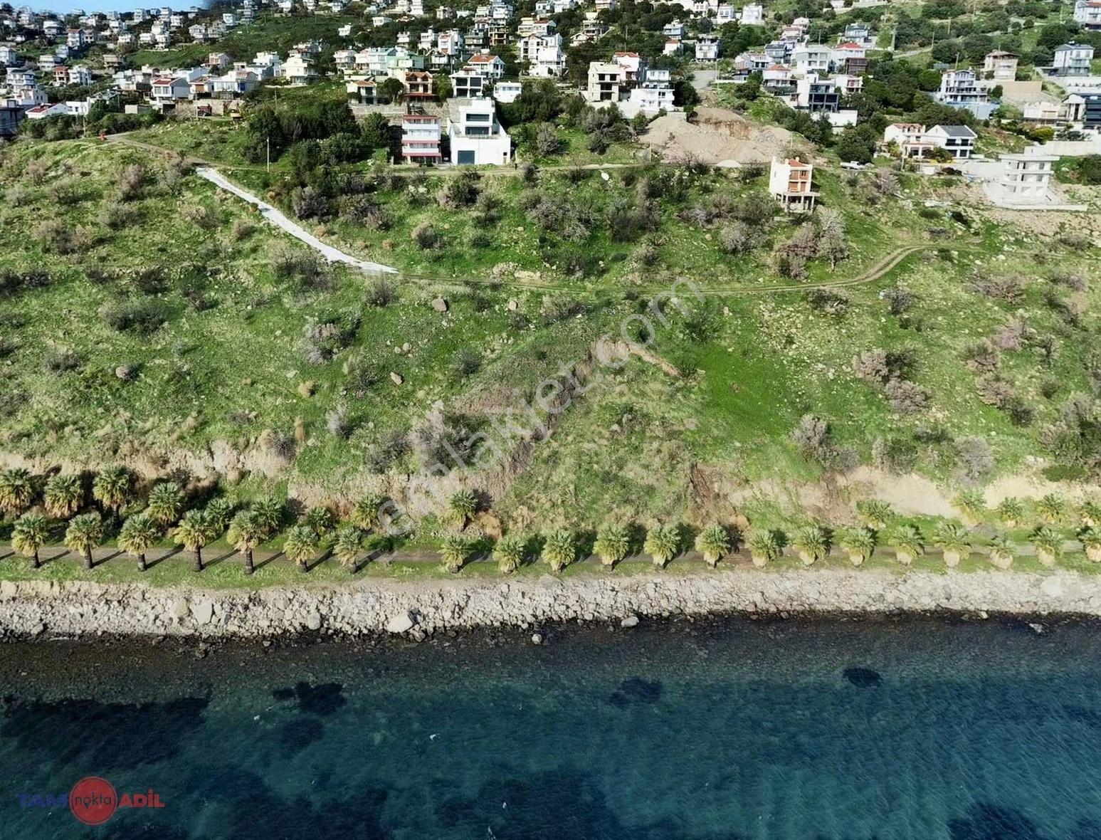 Çandarlı Bimeyko Denize 90 Metre 700m2 Hisseli Arsa - Görsel 16