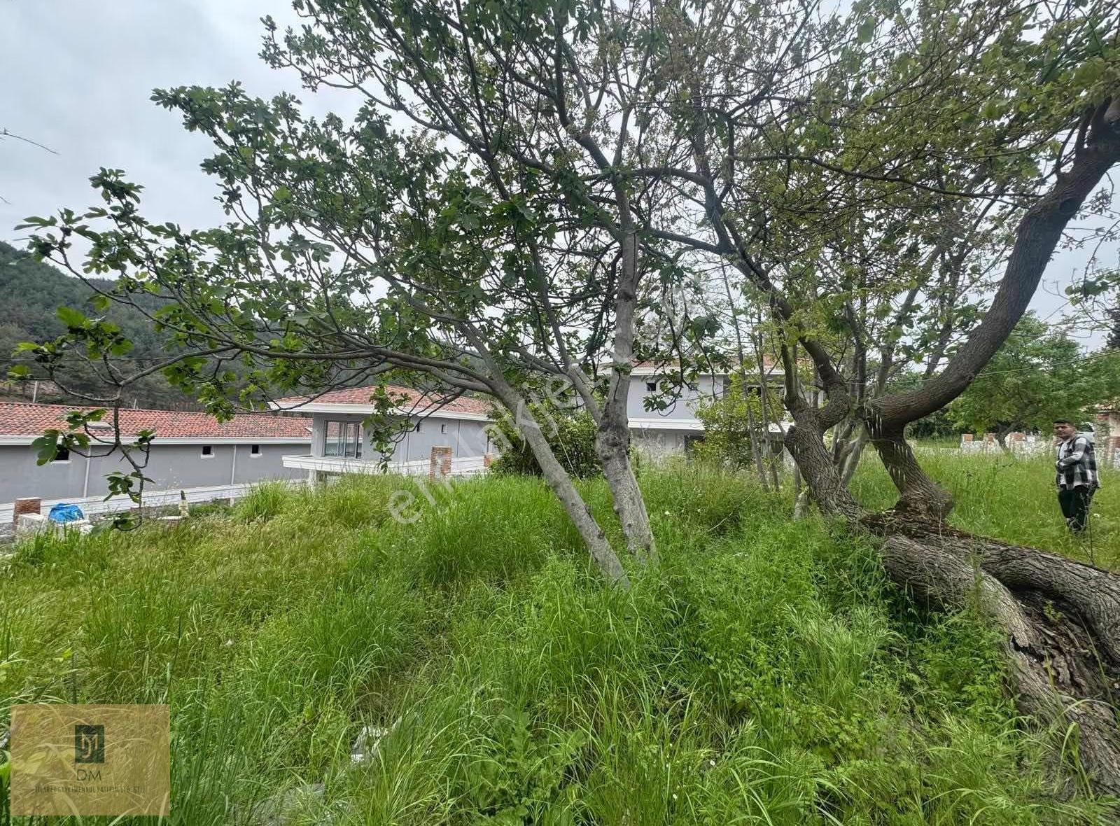 Akyaka'ya Yakın Şirinköy'de 998 M² İmarlı Satılık Arsa - Görsel 4