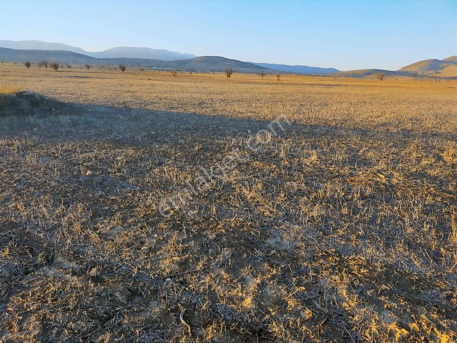 Antalya Korkuteli Büyükköyde Satılık Tarla 7700 M2 - Görsel 6