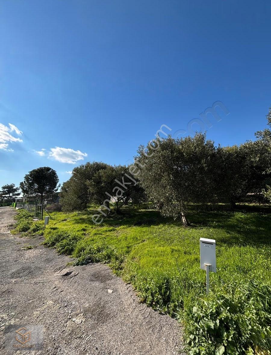 Menemen İğnederede Satılık 270 M2 Satılık Hobi Bahçesi - Görsel 7