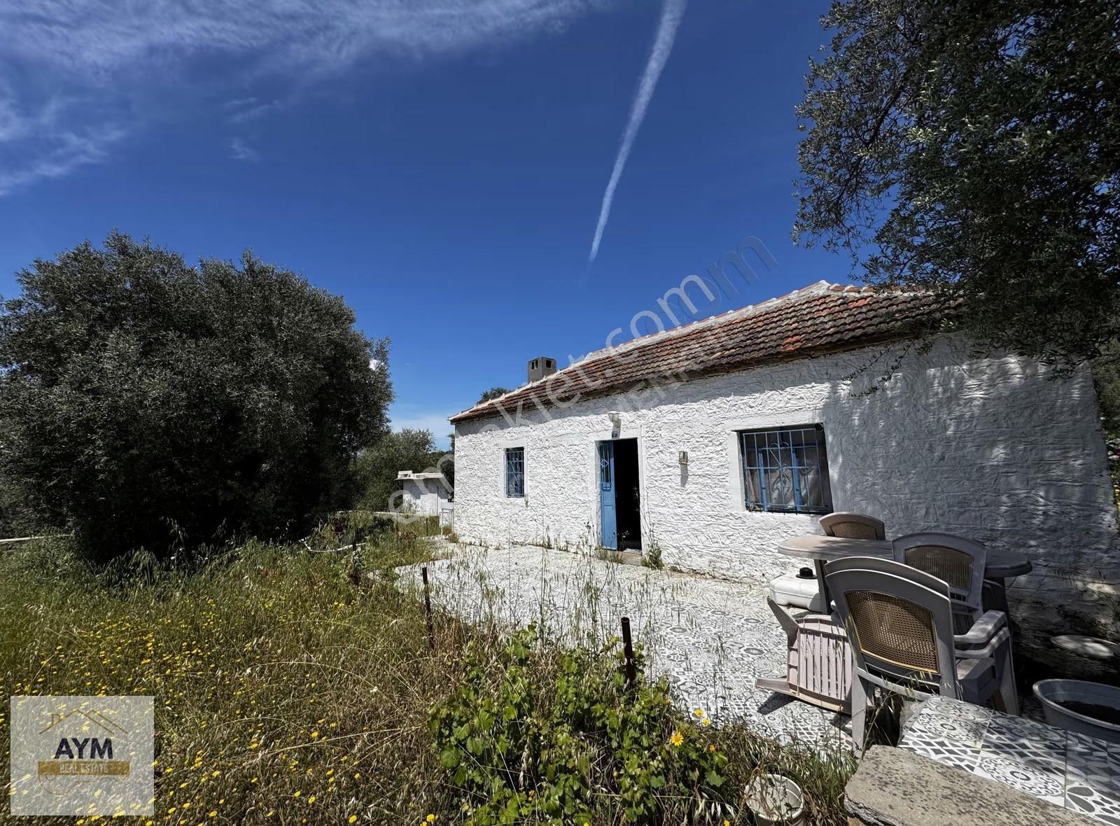Bodrum Kızılağaç Tam Müstakil Ev Ve Bahçe - Görsel 8