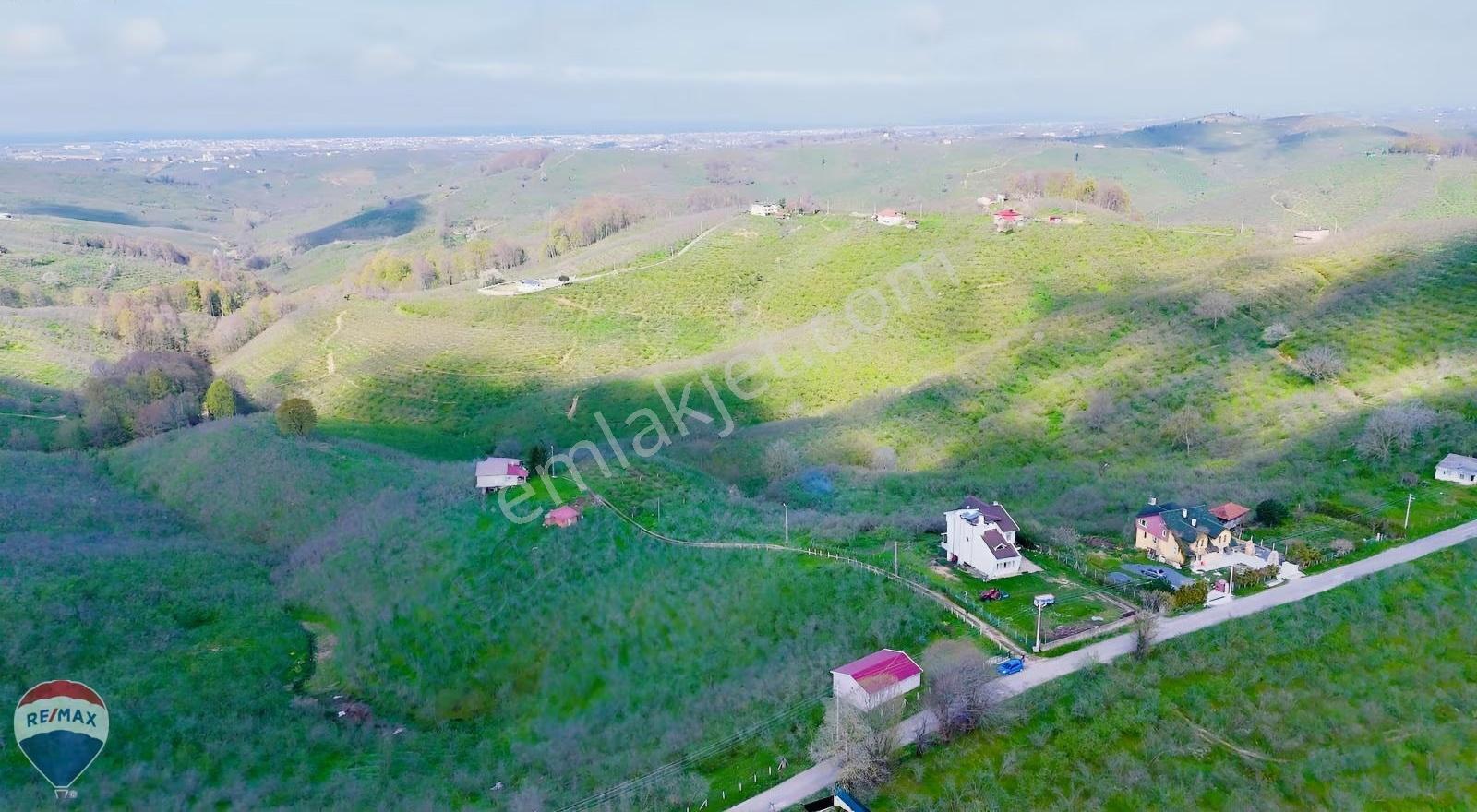 Kocaali Kirazlı Mahallesinde Satılık 800m² Köşe Arsa.