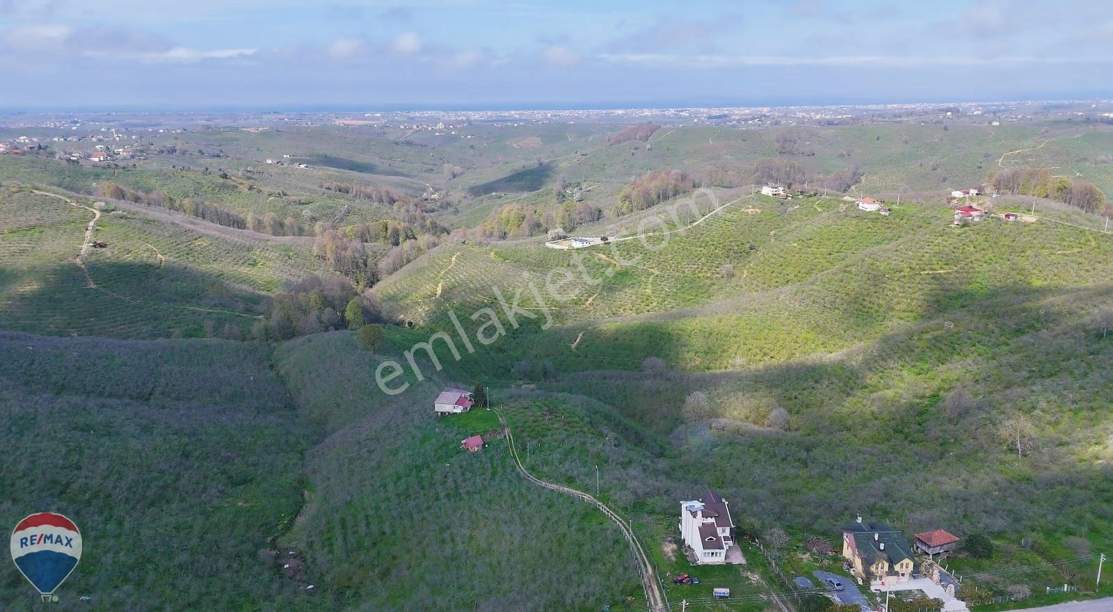 Kocaali Kirazlı Mahallesinde Satılık 800m² Köşe Arsa. - Görsel 12