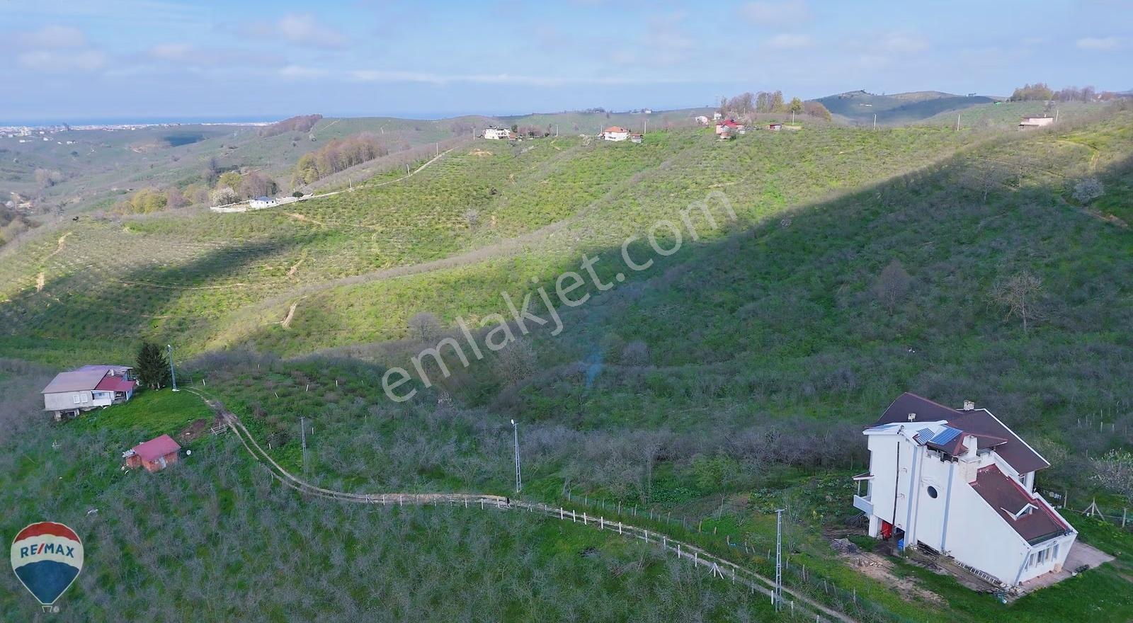 Kocaali Kirazlı Mahallesinde Satılık 800m² Köşe Arsa. - Görsel 11